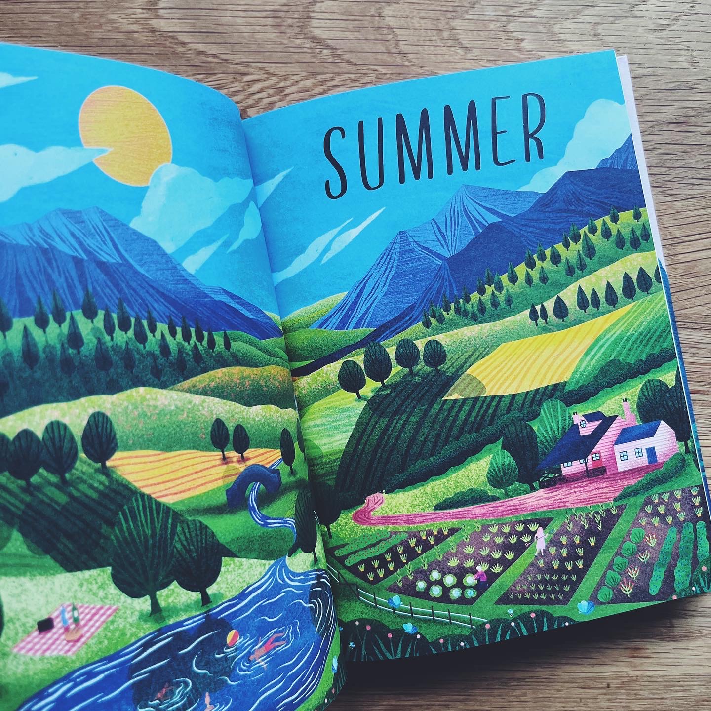 Rewild Your Life: Reconnect to nature over 52 seasonal projects