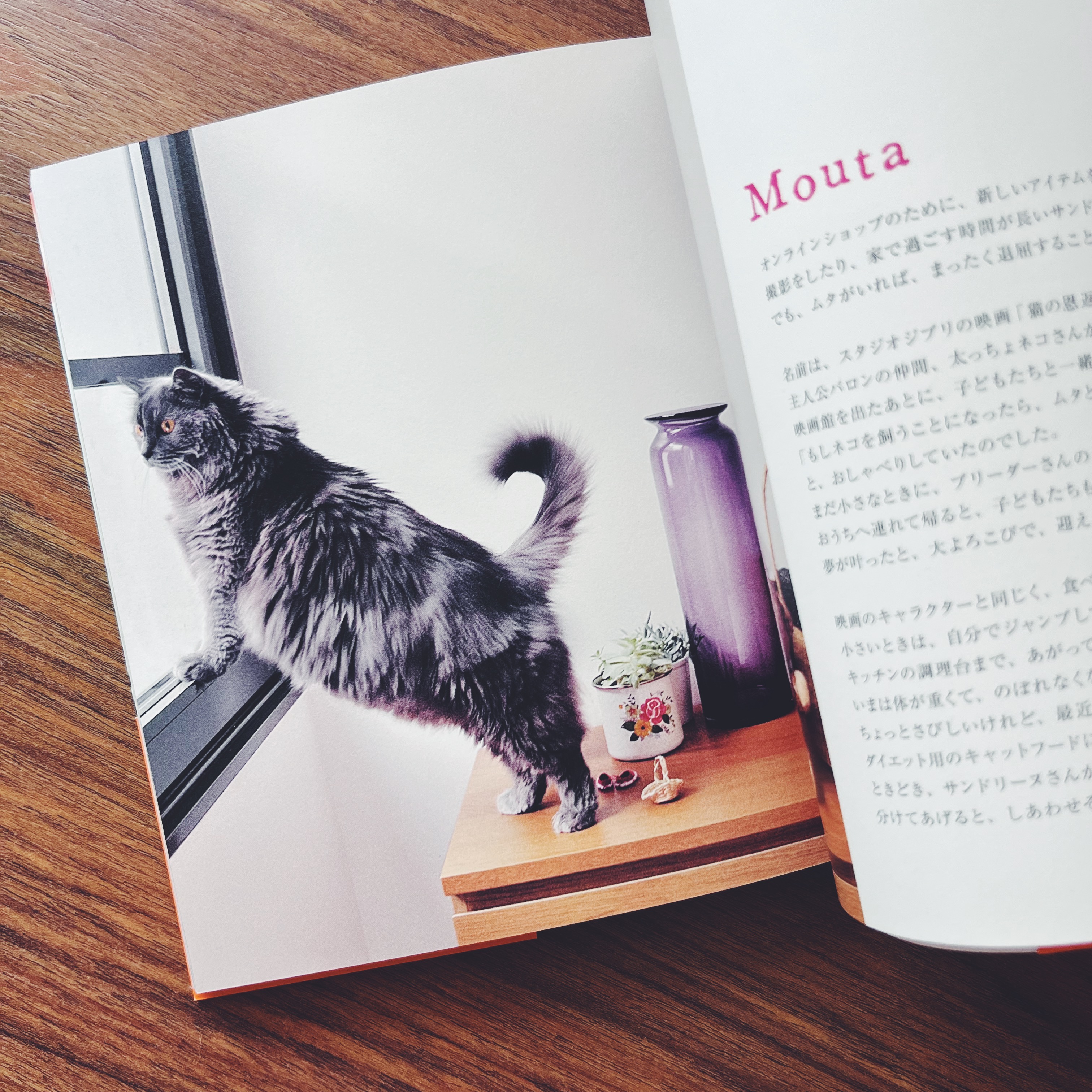 Mon petit chat de Paris