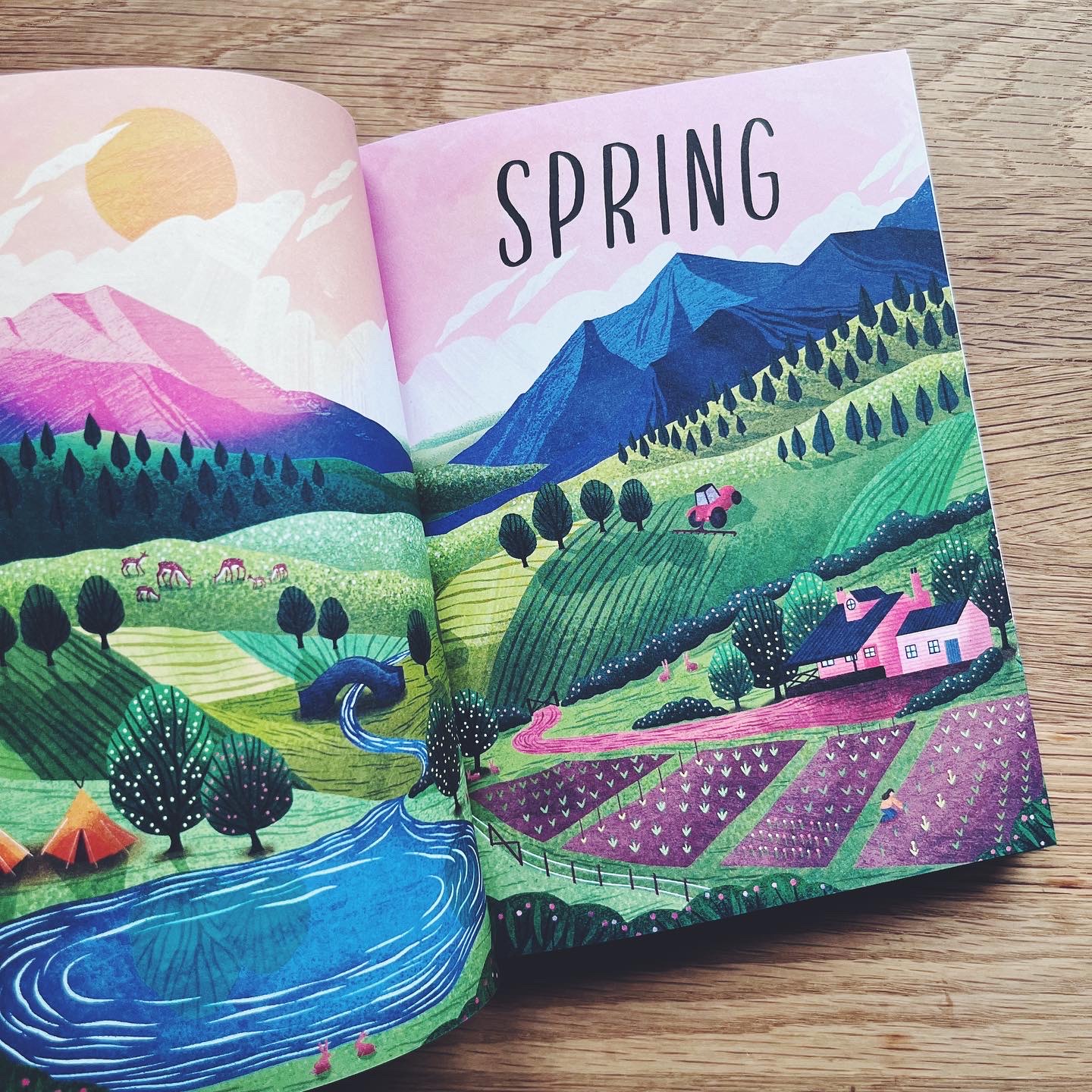 Rewild Your Life: Reconnect to nature over 52 seasonal projects