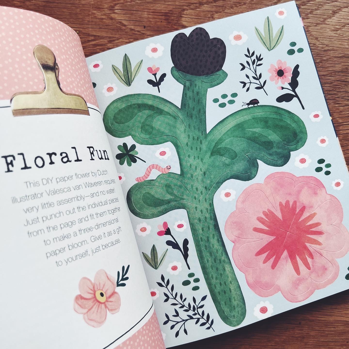 A Book That Loves You: An Adventure in Self-Compassion