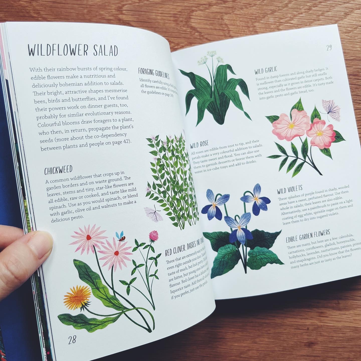 Rewild Your Life: Reconnect to nature over 52 seasonal projects