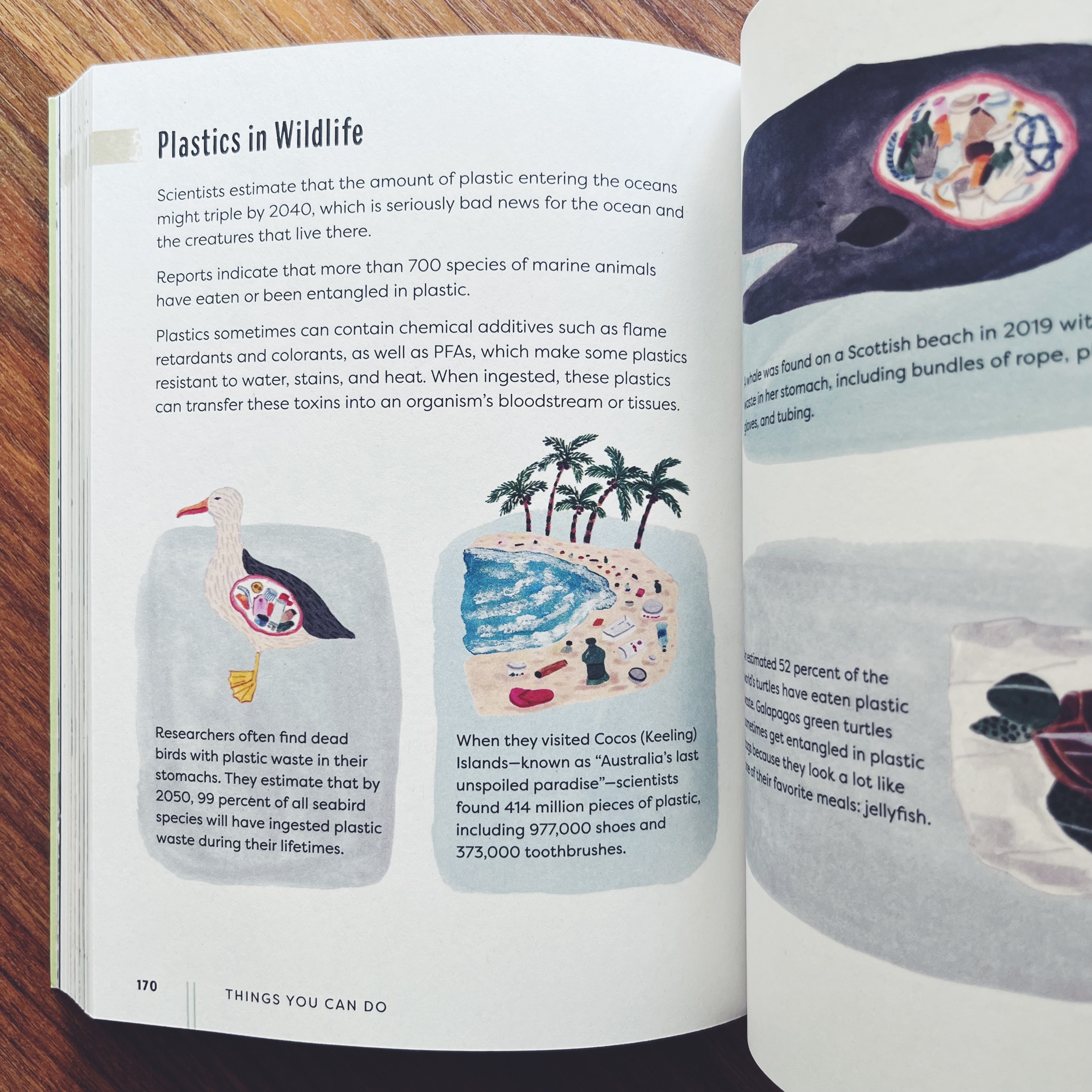 Things You Can Do: How to Fight Climate Change and Reduce Waste