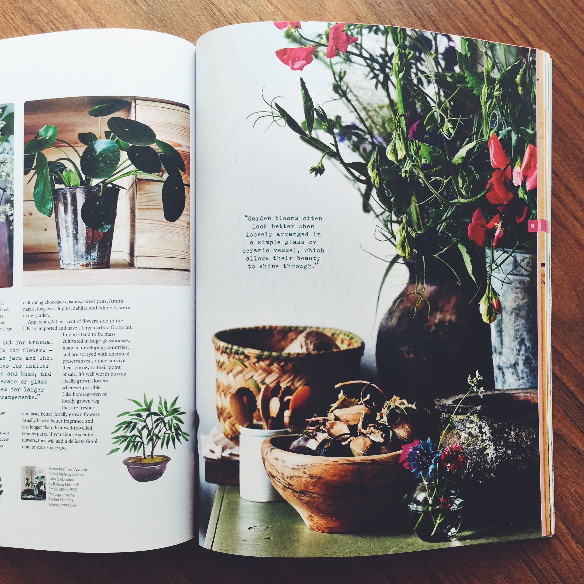 Project Calm Magazine - Issue 14