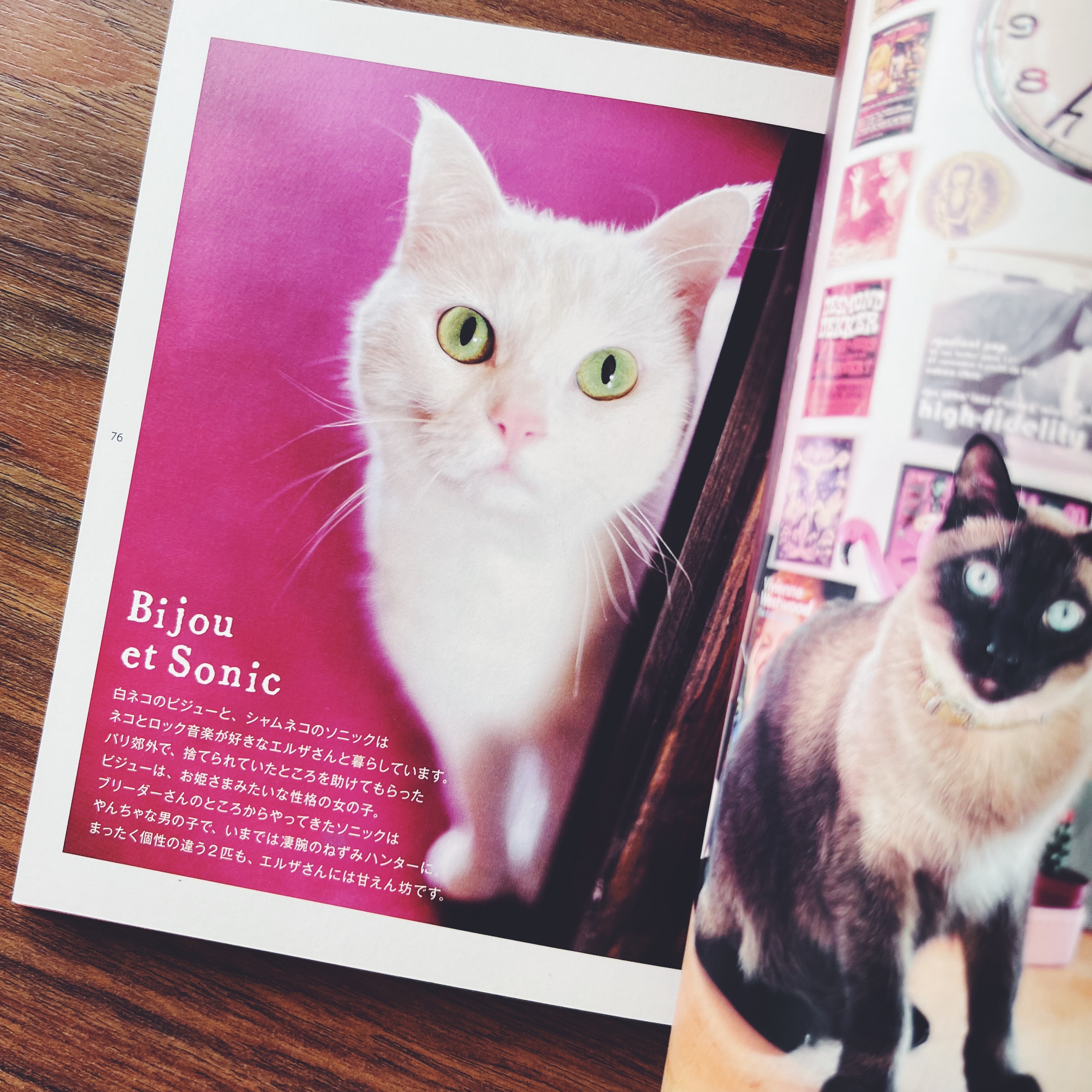 Mon petit chat de Paris