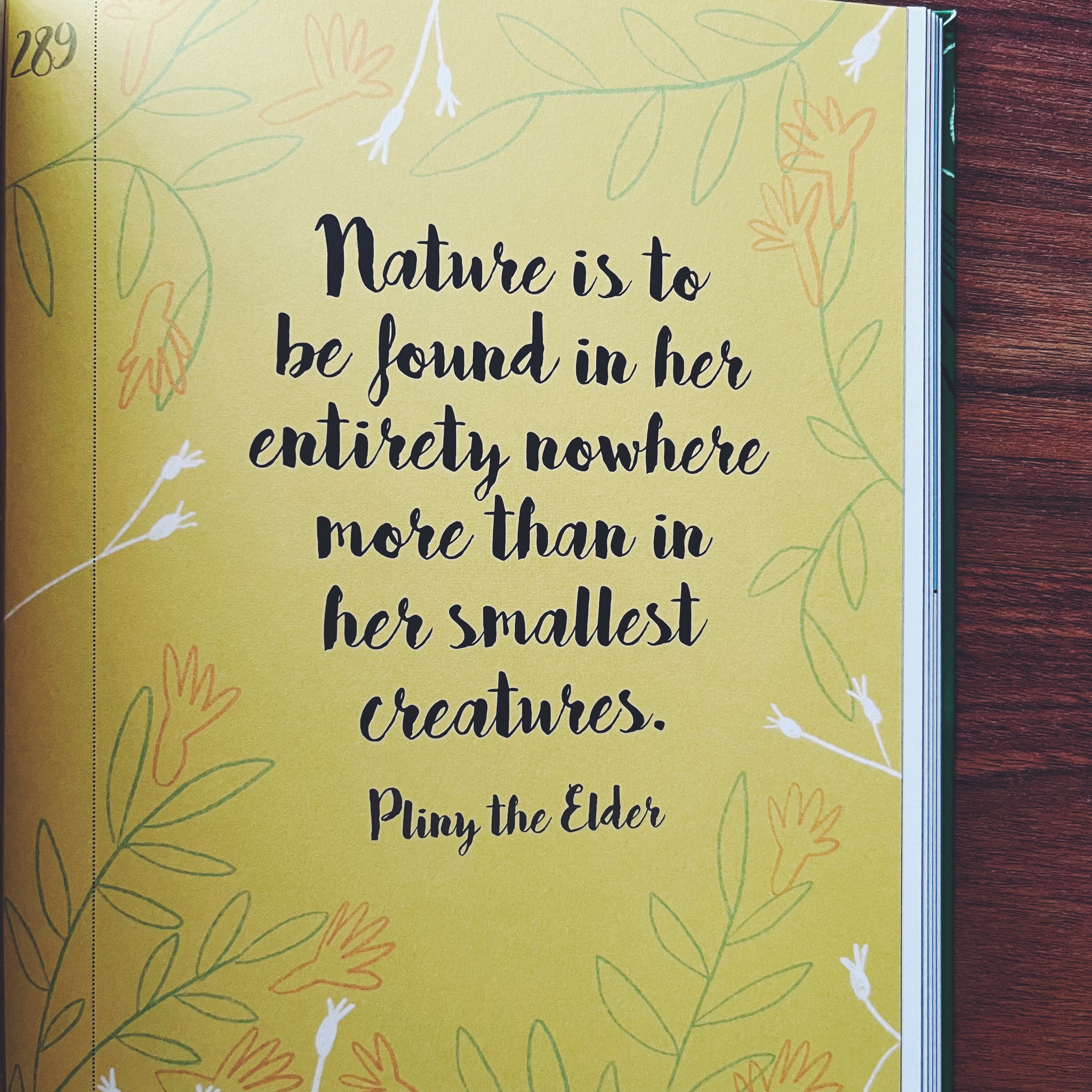 365 Days of Art in Nature