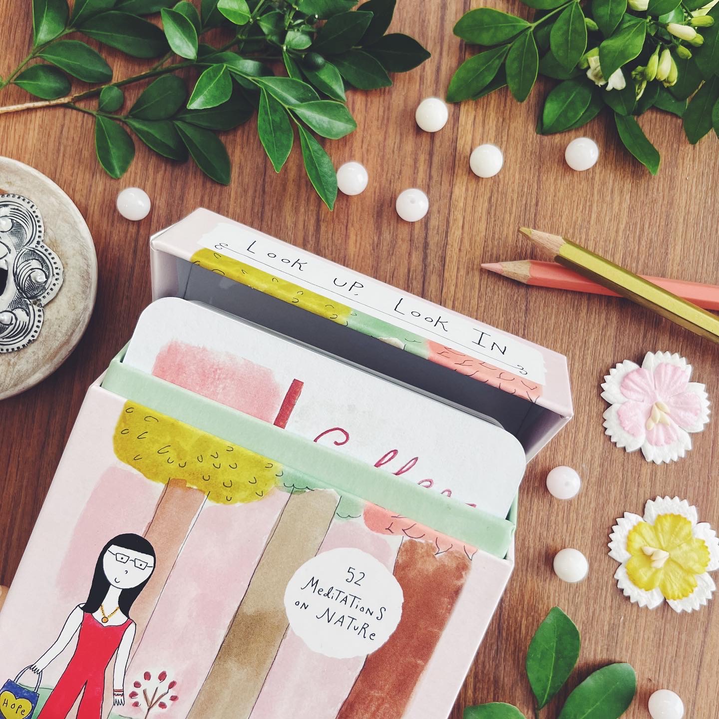 Look Up, Look In (52 Meditations on Nature: Meditation Cards)