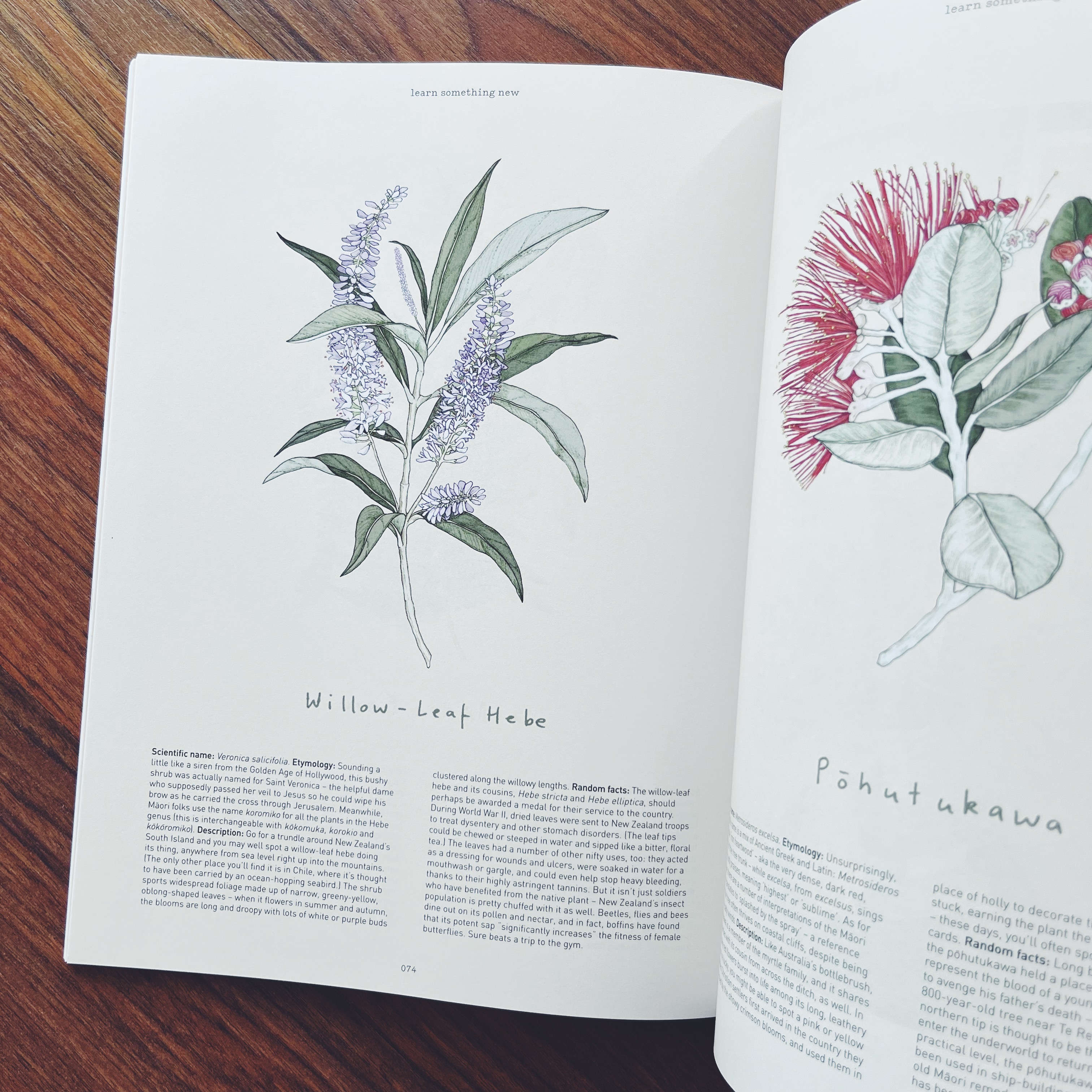 Frankie Press » Frankie Magazine - Issue 103