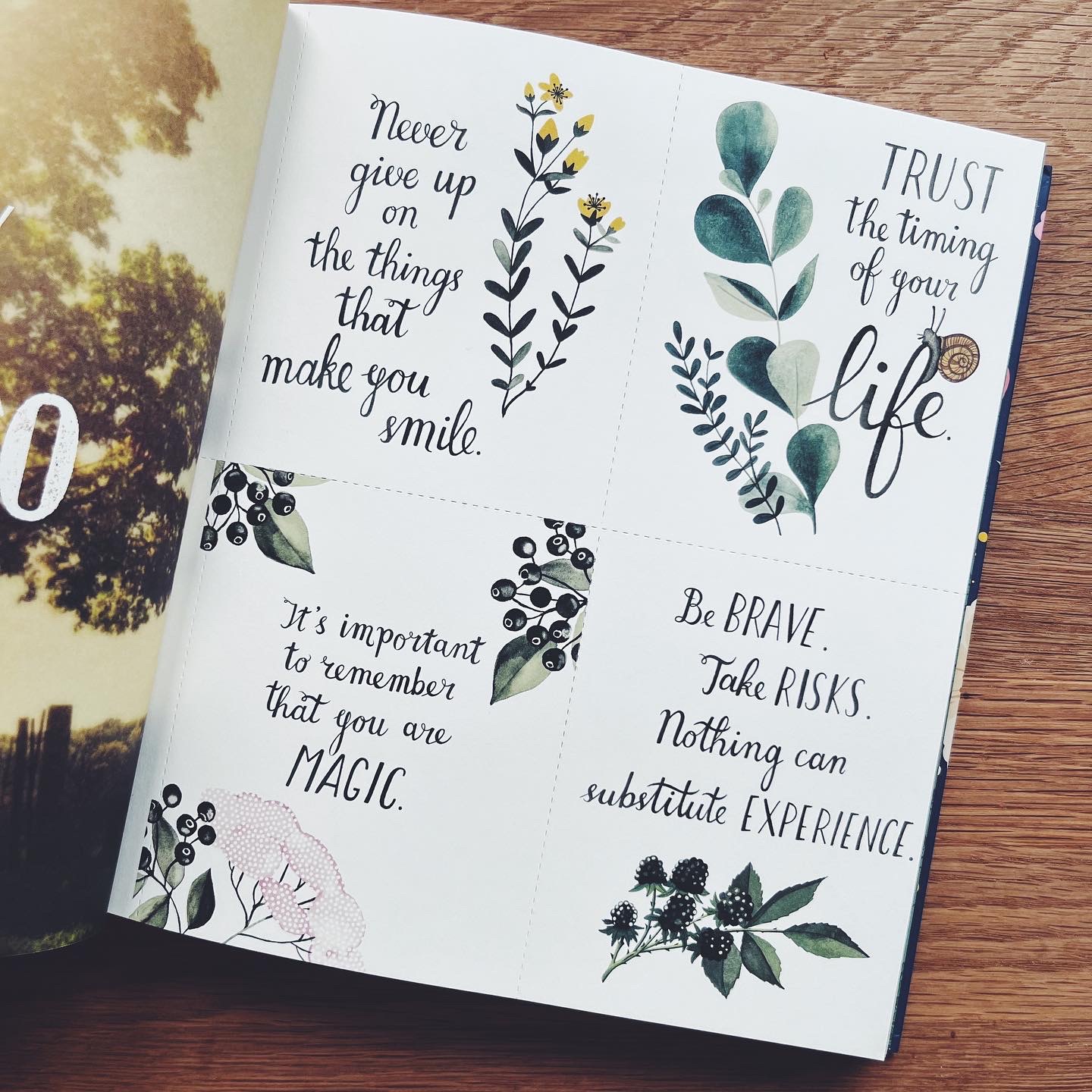 A Book That Loves You: An Adventure in Self-Compassion