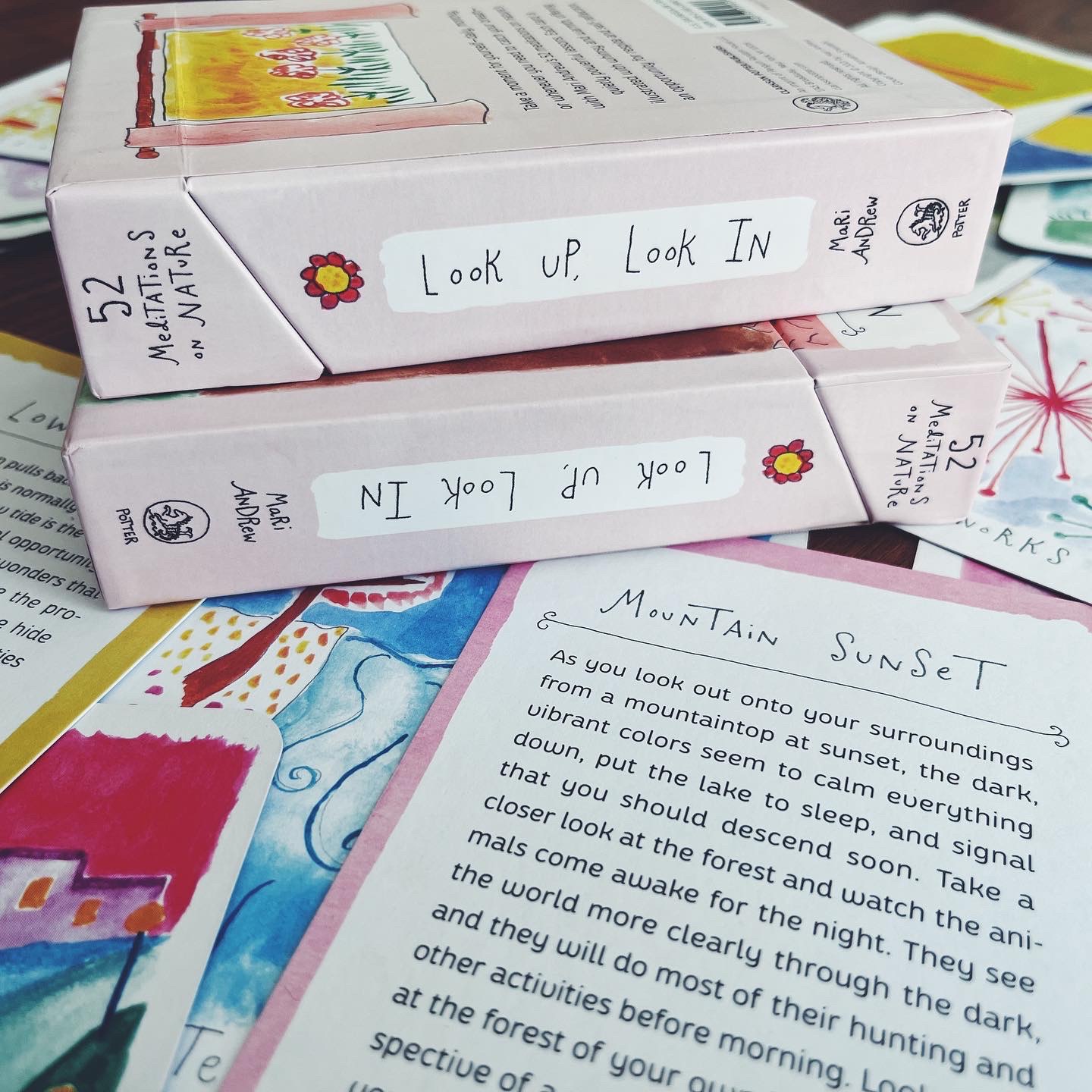 Look Up, Look In (52 Meditations on Nature: Meditation Cards)