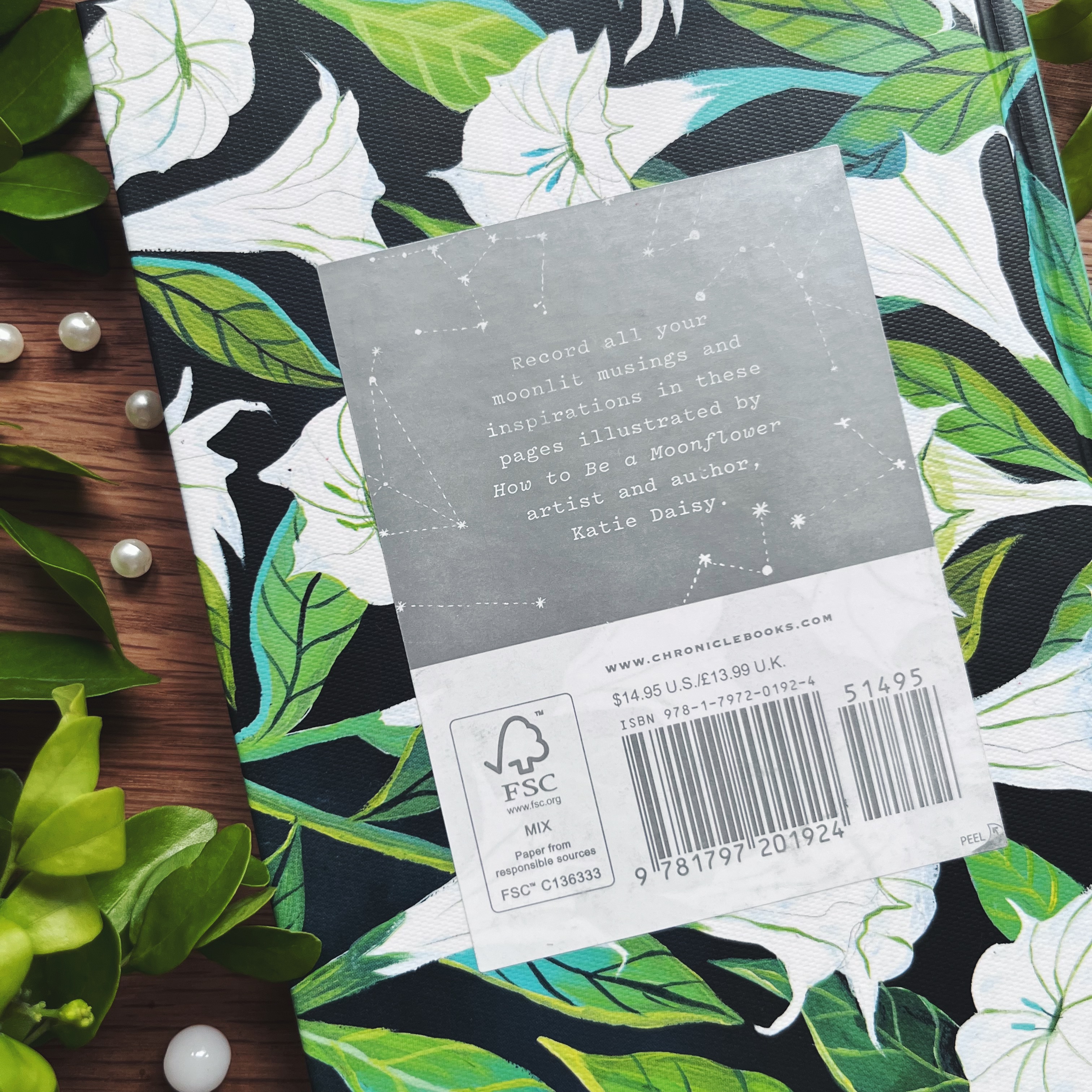 Under the Light of the Moon Journal