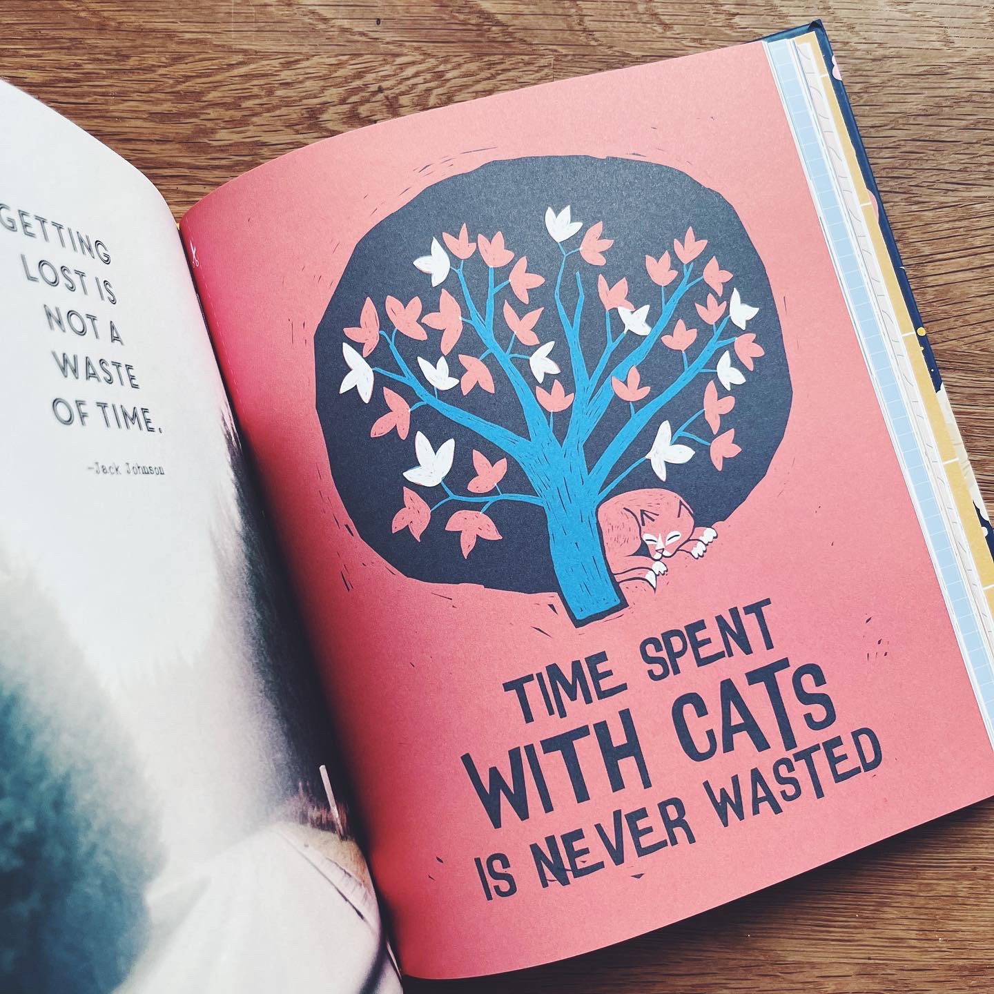 A Book That Loves You: An Adventure in Self-Compassion