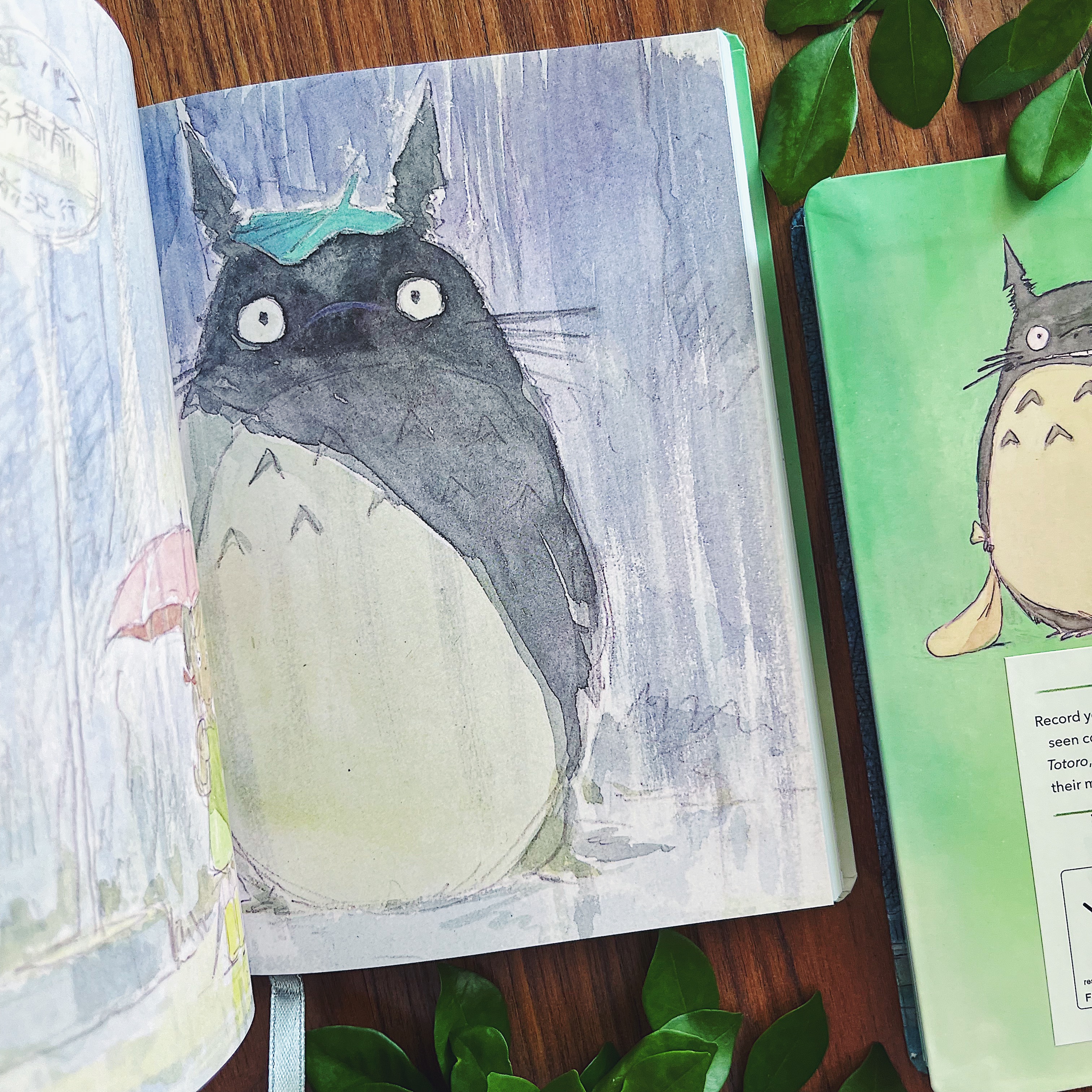 Studio Ghibli x Chronicle Books Journal