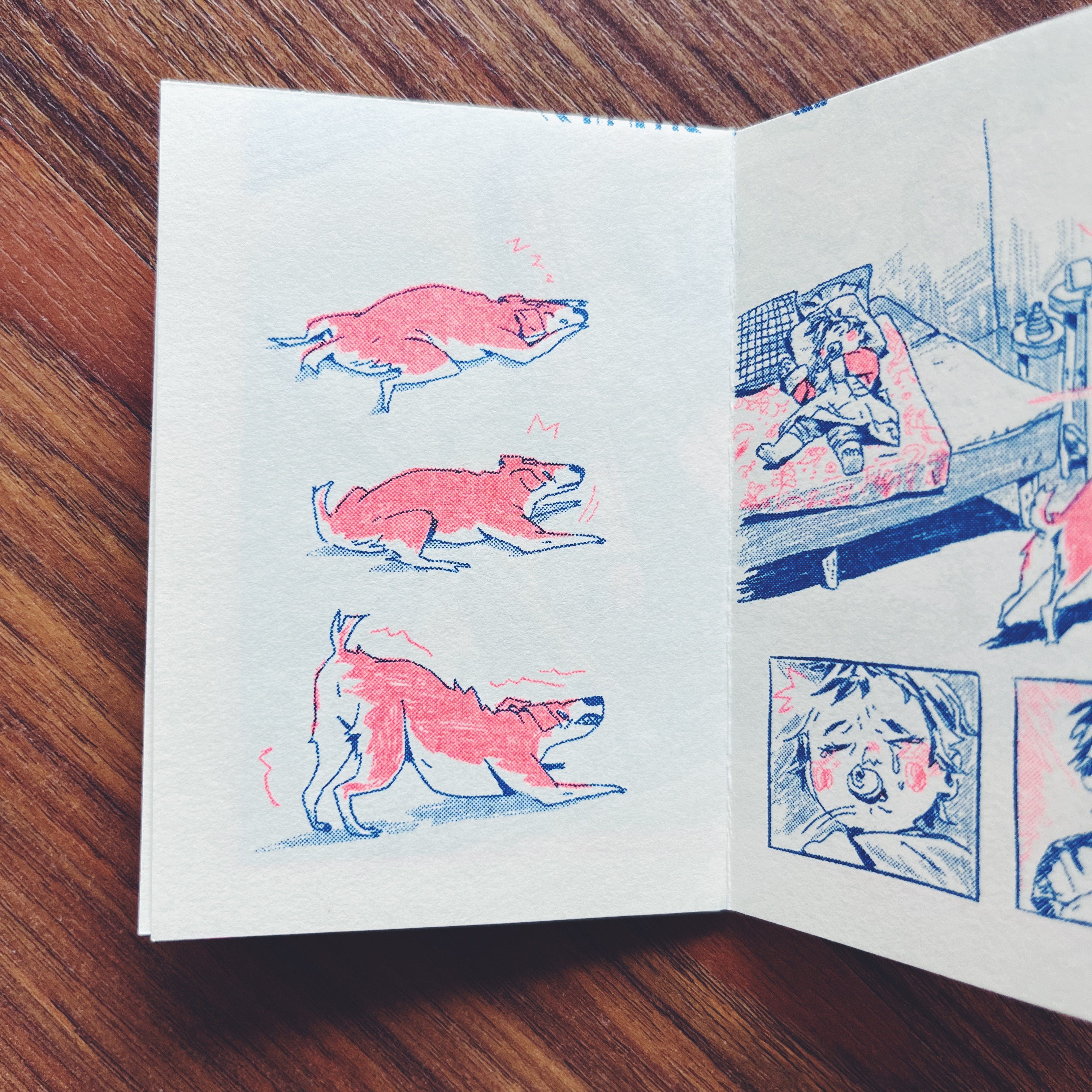 Micro Comic Zine