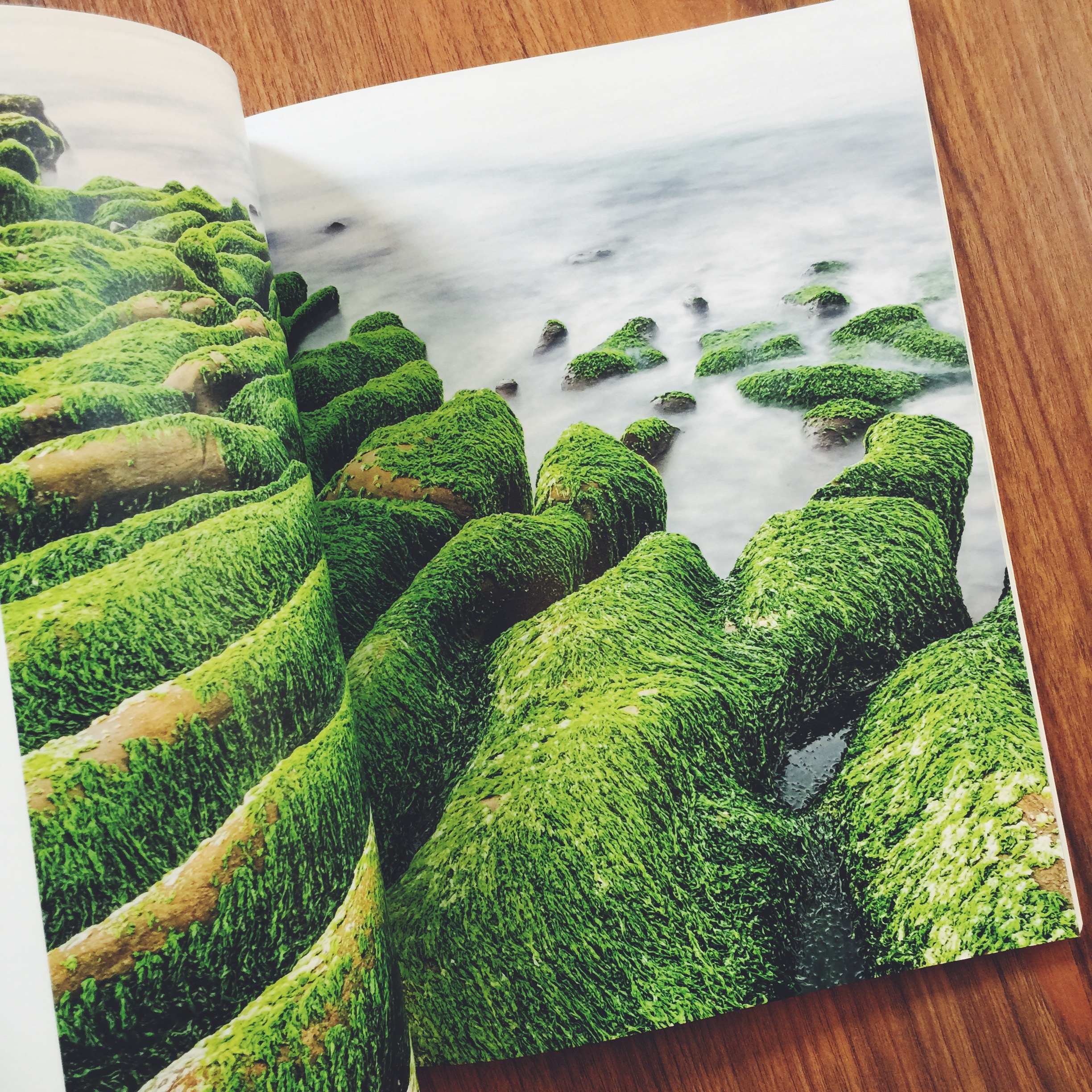 Kyoto Journal - Issue 96