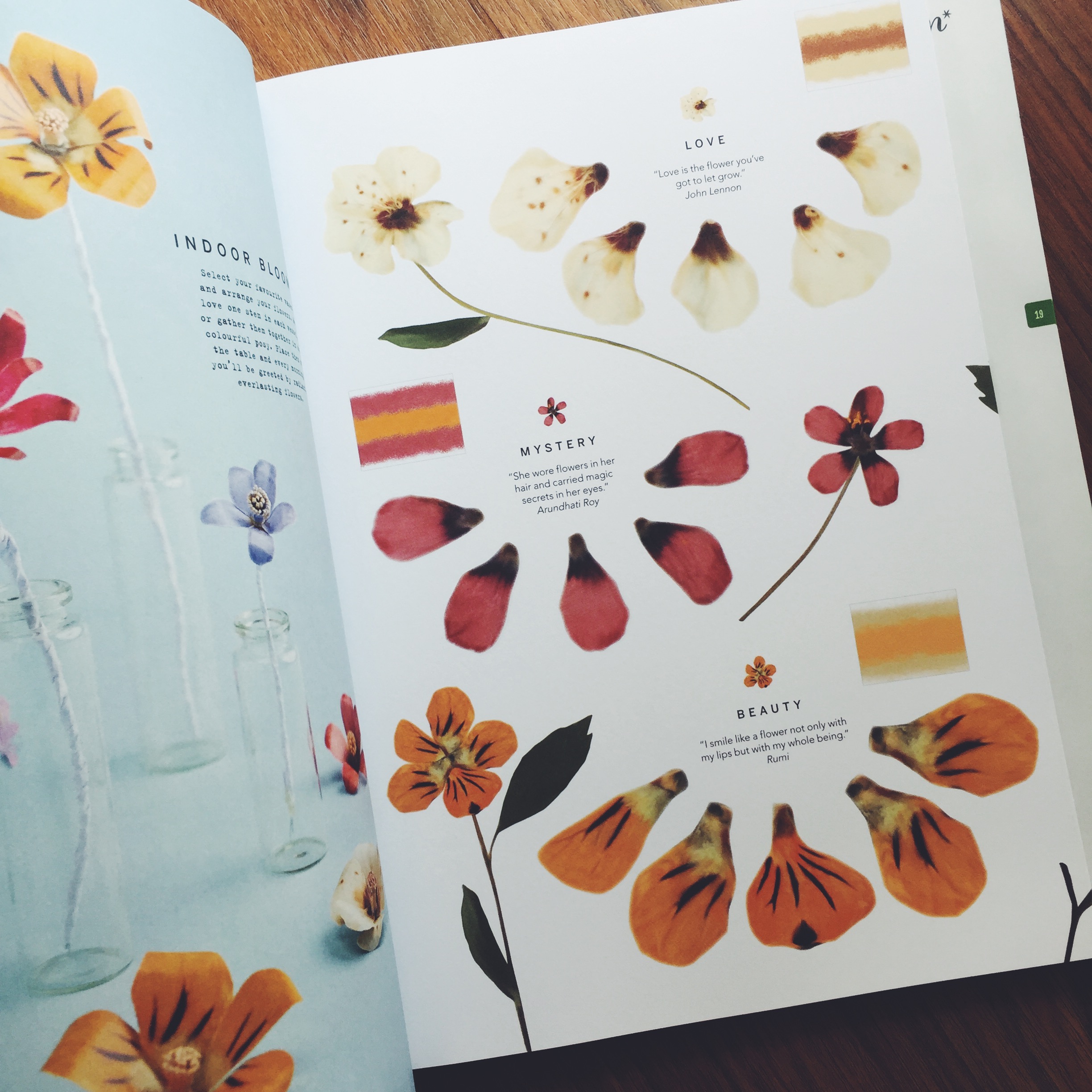 Project Calm Magazine - Issue 14