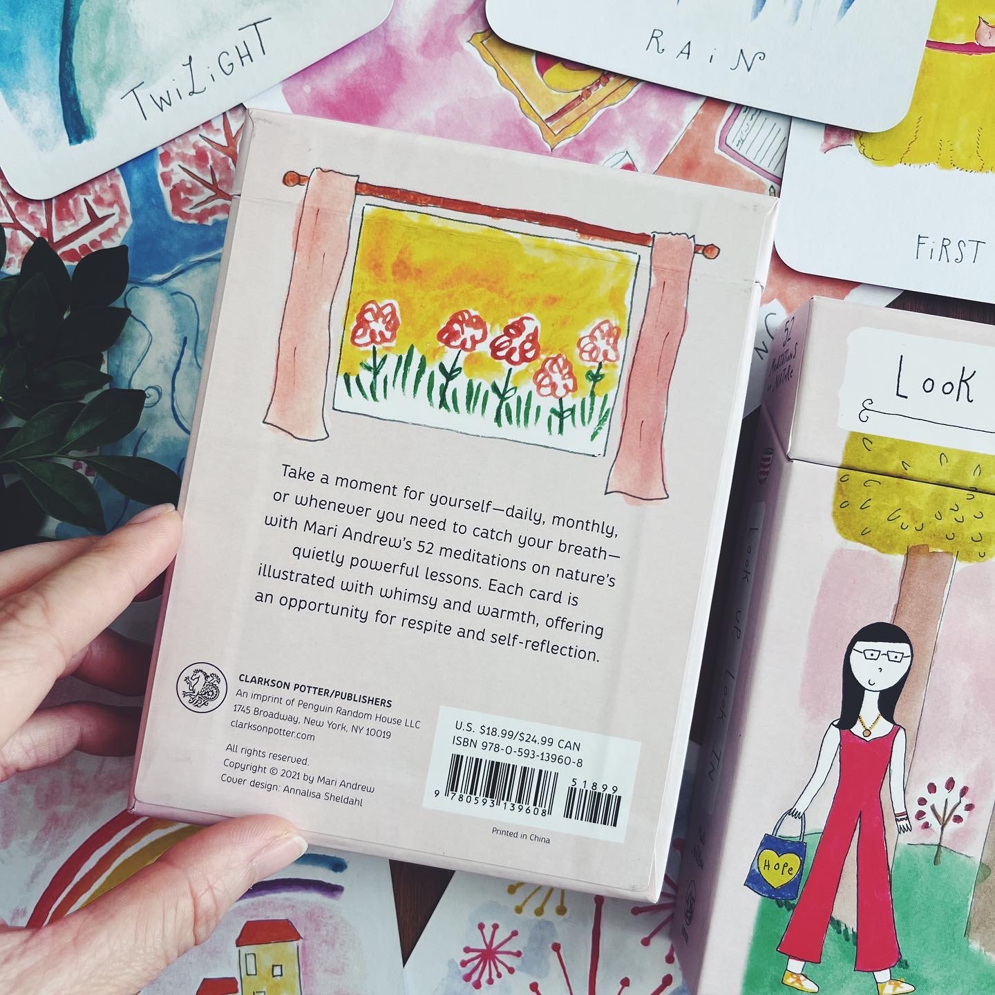 Look Up, Look In (52 Meditations on Nature: Meditation Cards)