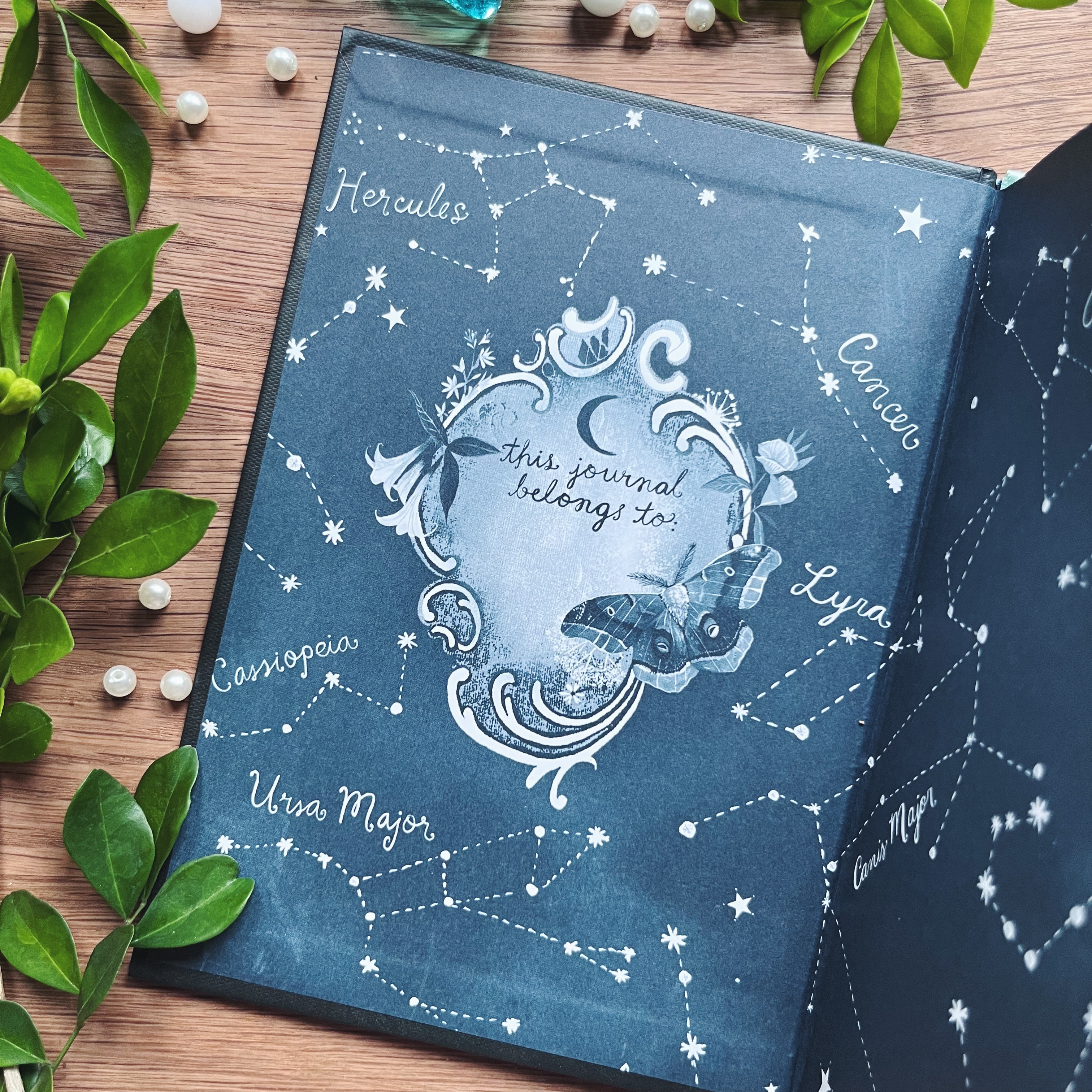 Under the Light of the Moon Journal