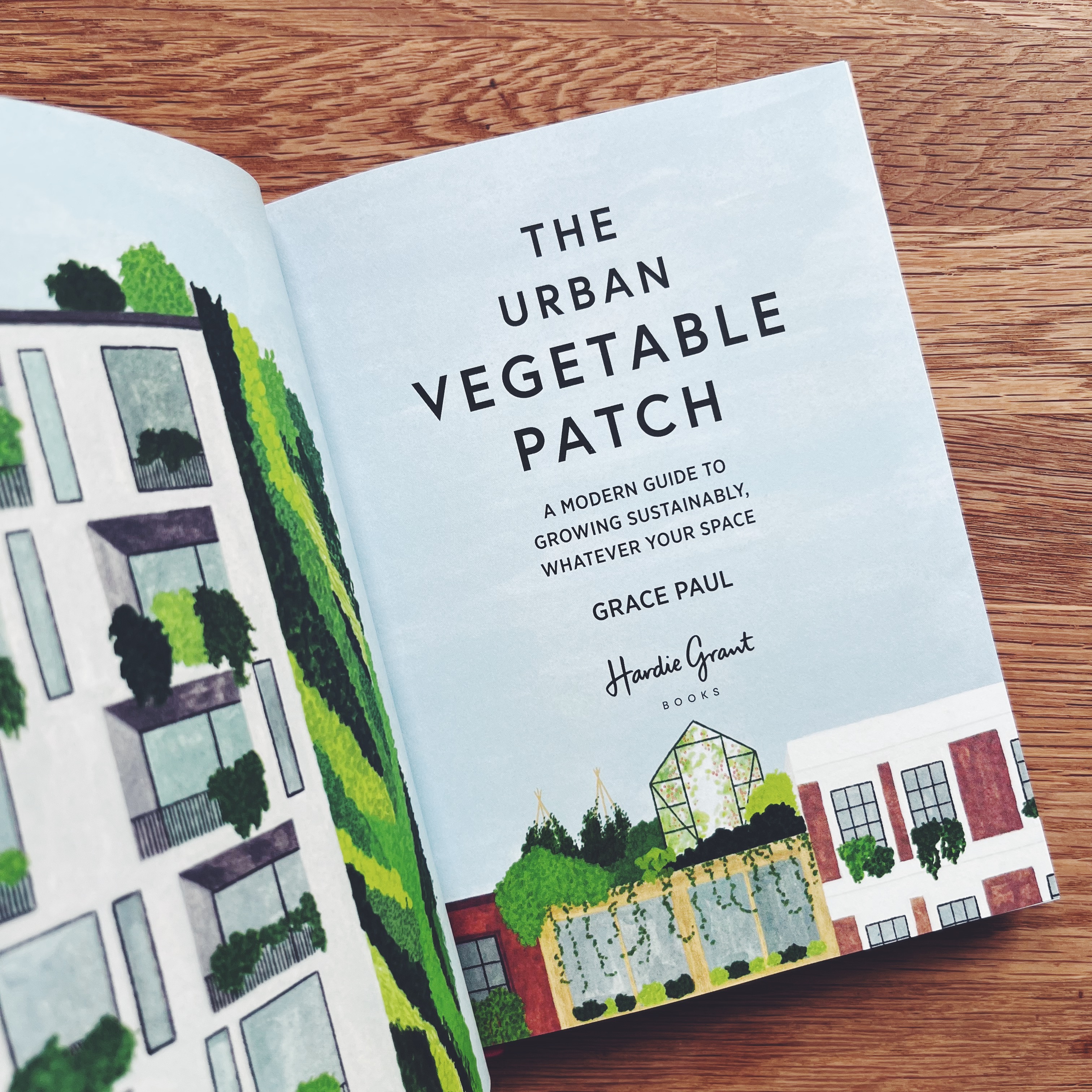 The Urban Vegetable Patch