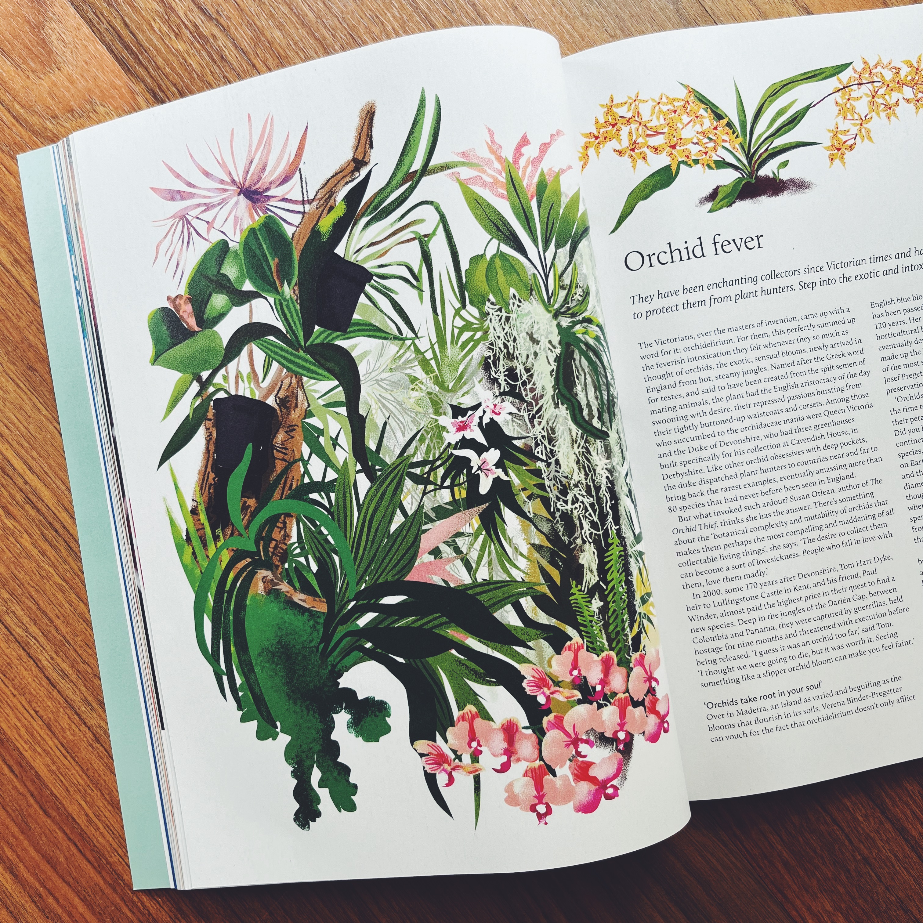 Breathe Magazine - Issue 38