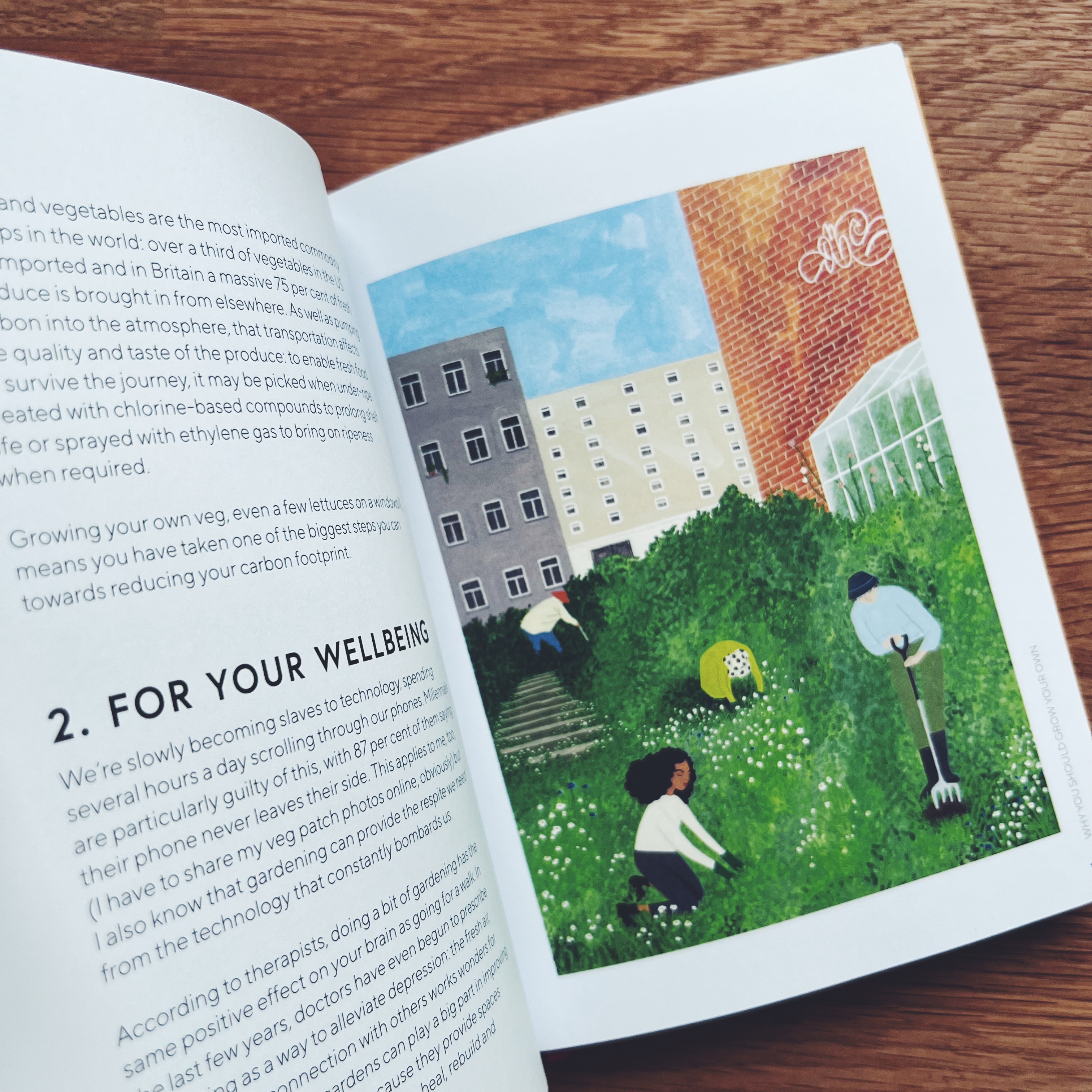 The Urban Vegetable Patch