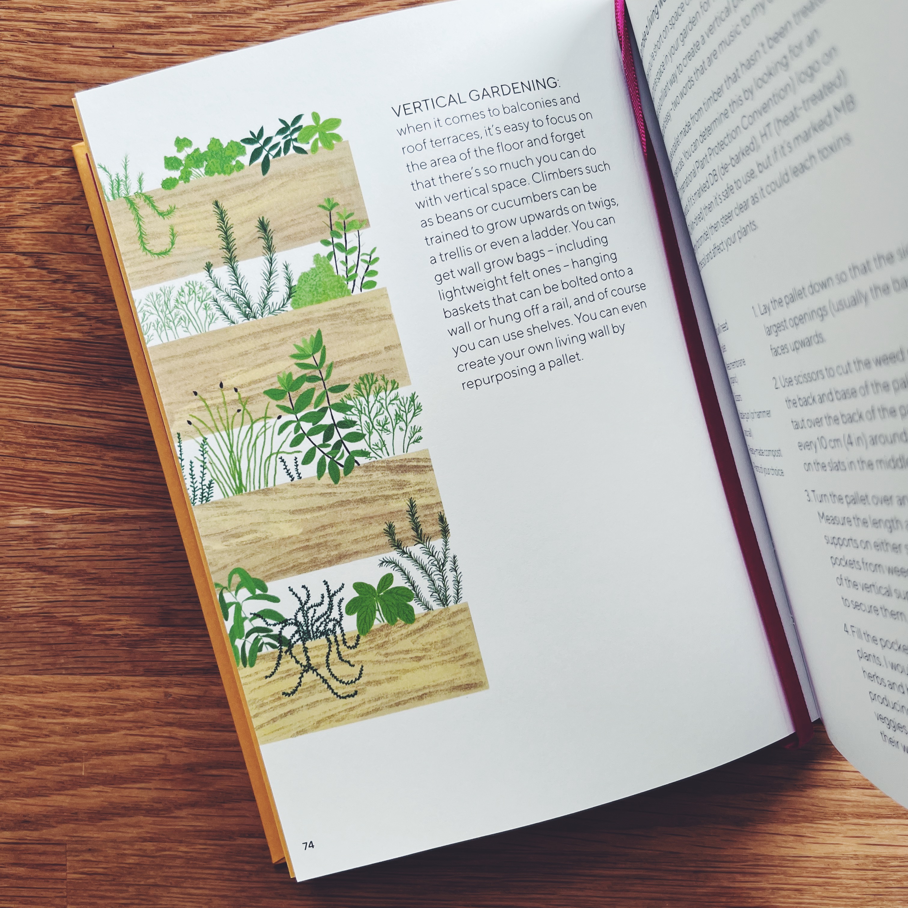 The Urban Vegetable Patch