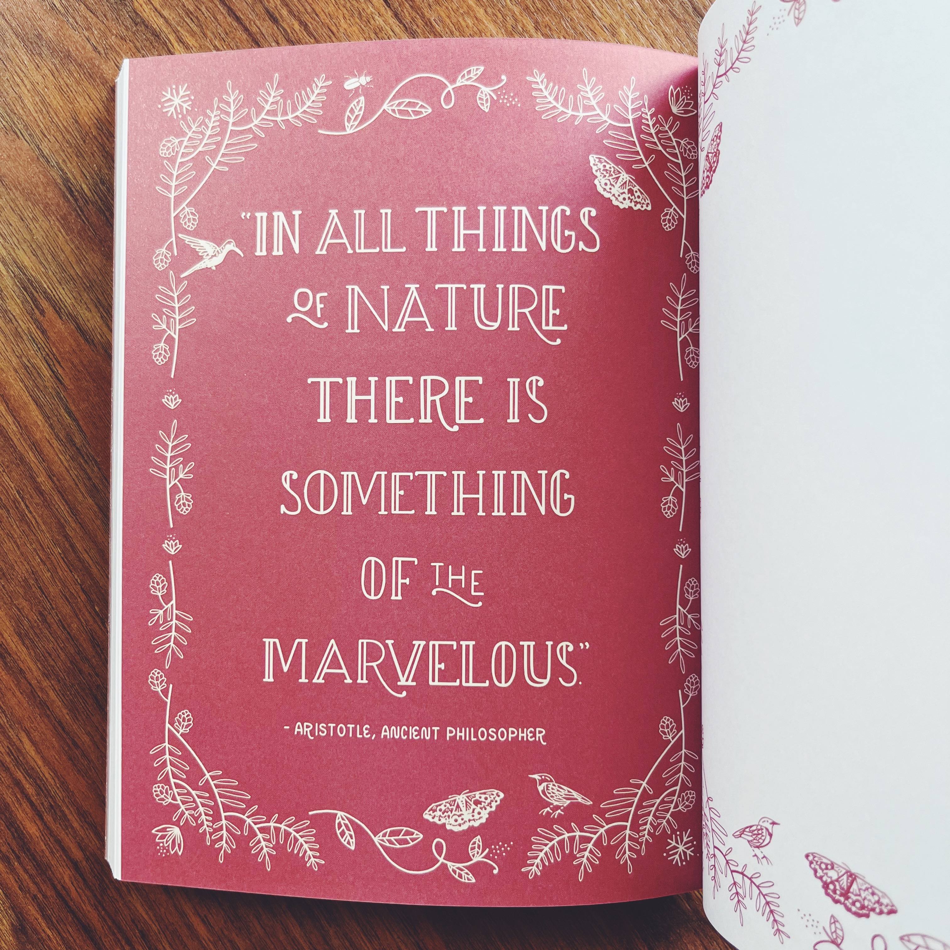 I Love the Earth: A Journal for Celebrating and Protecting Our Planet