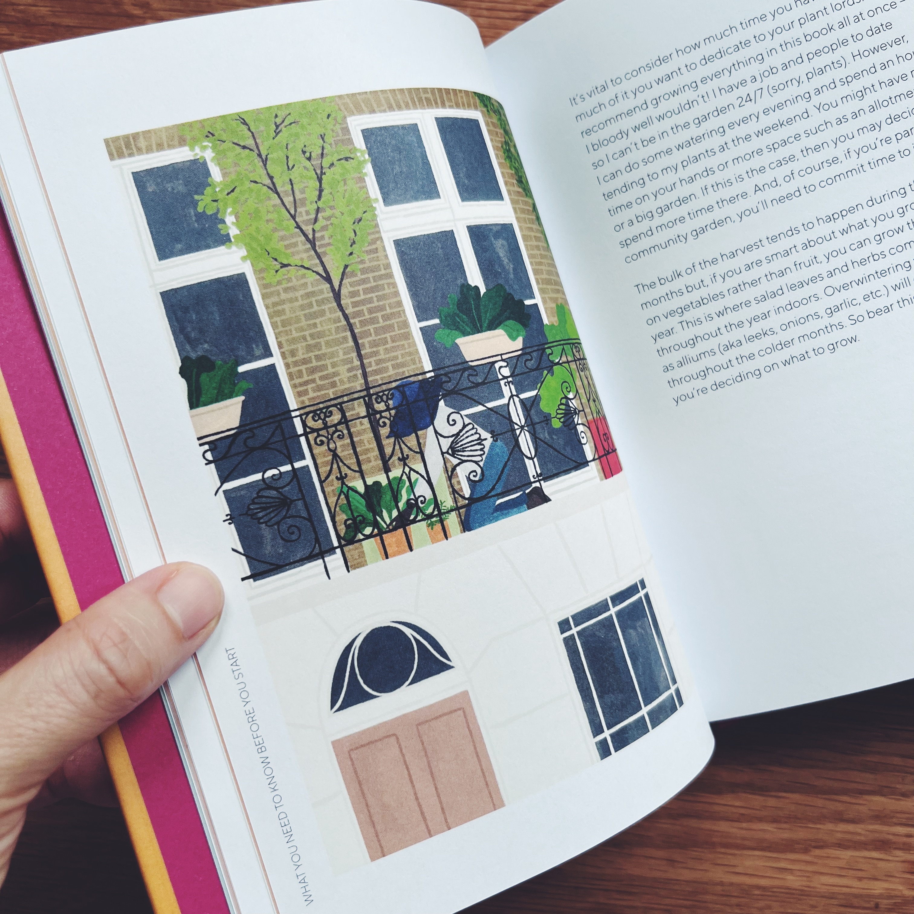 The Urban Vegetable Patch