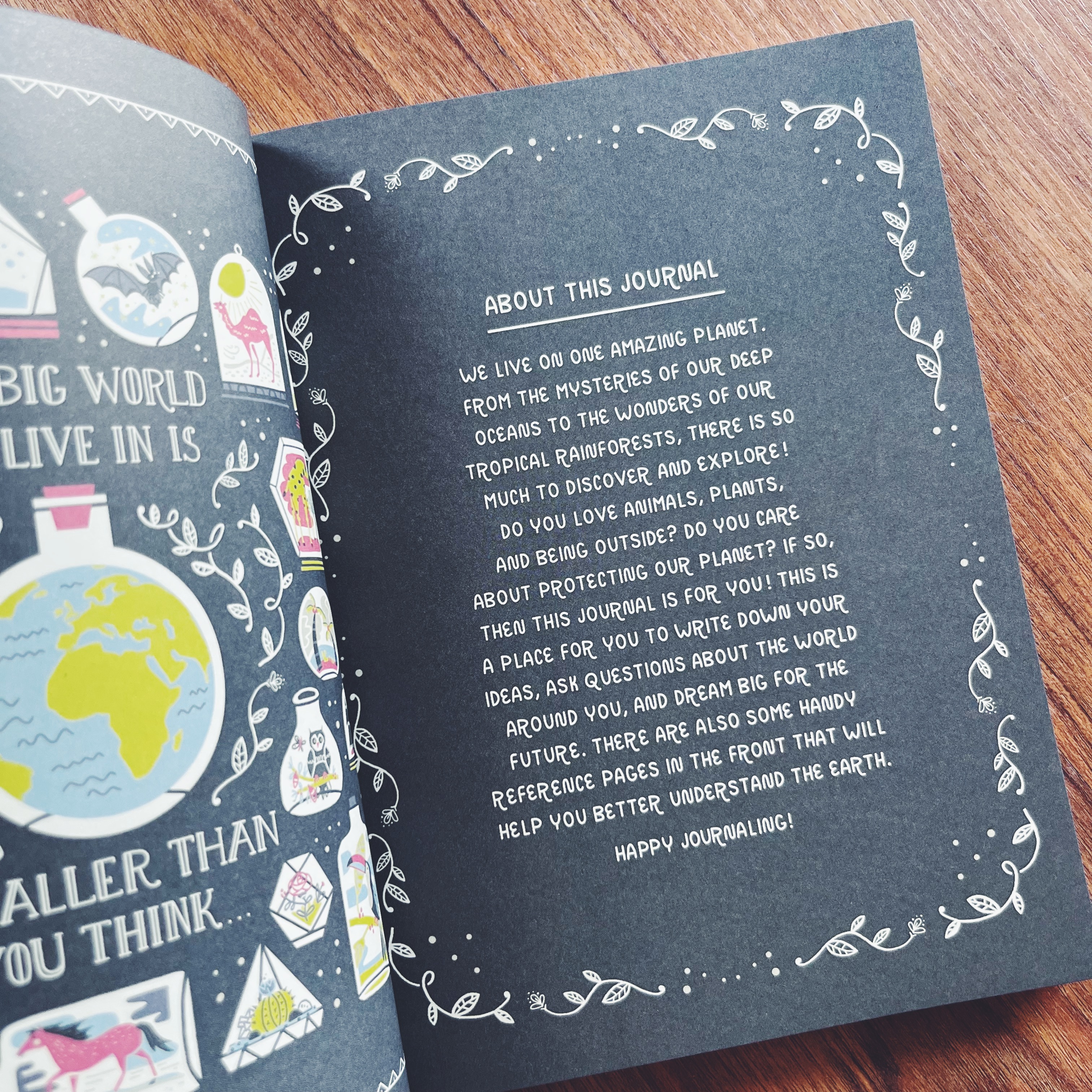 I Love the Earth: A Journal for Celebrating and Protecting Our Planet