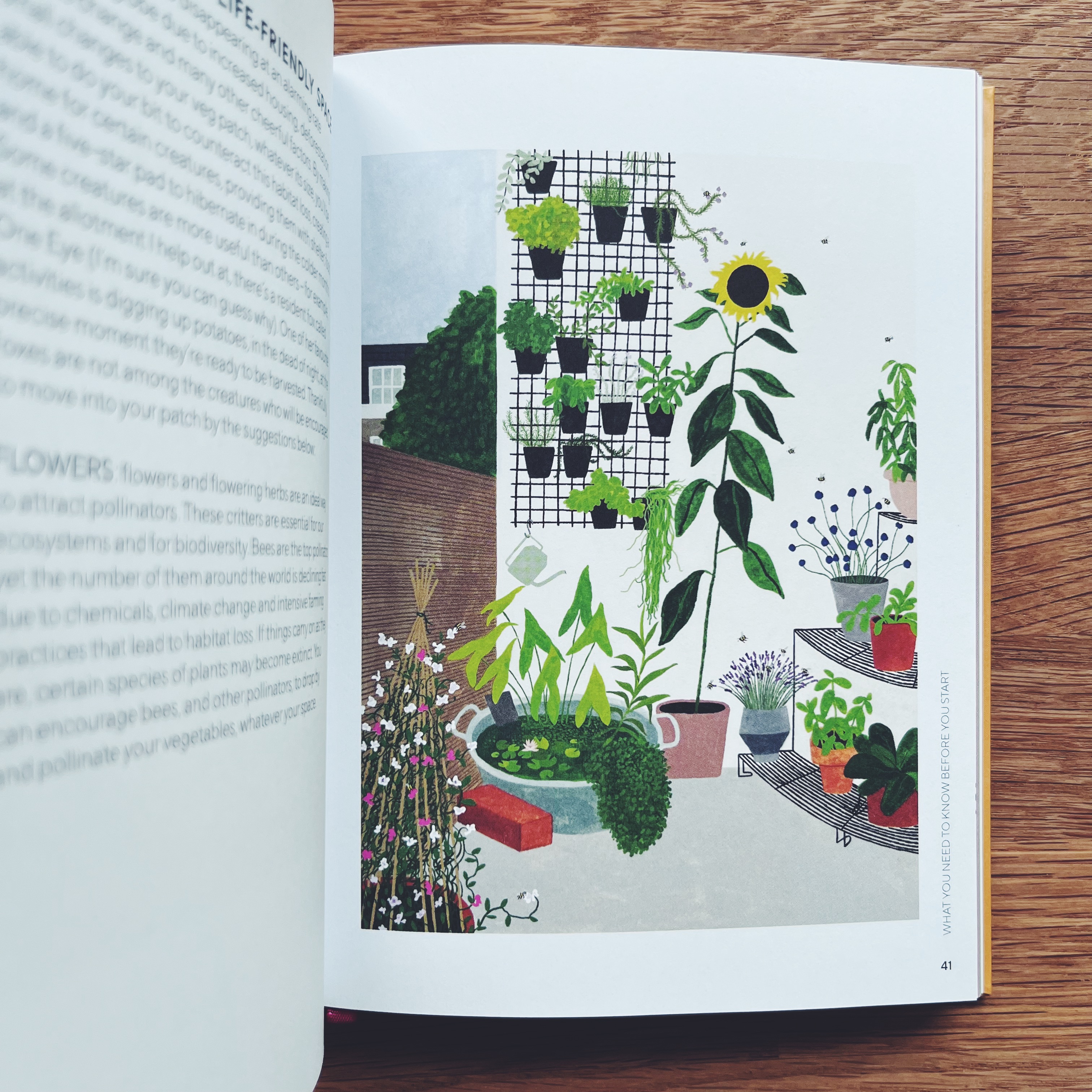 The Urban Vegetable Patch