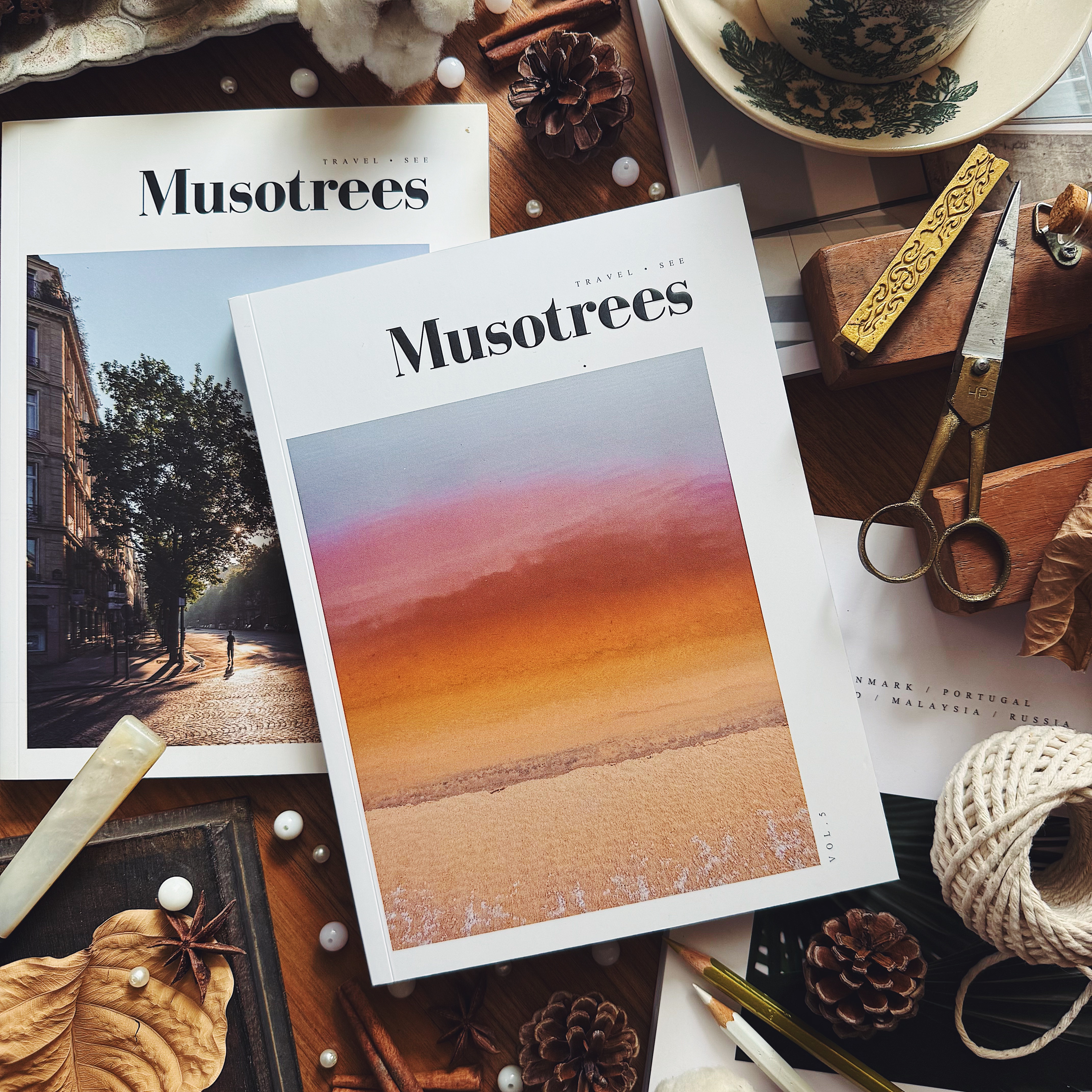 Musotrees Magazine : Vol.5 Chemistry Issue