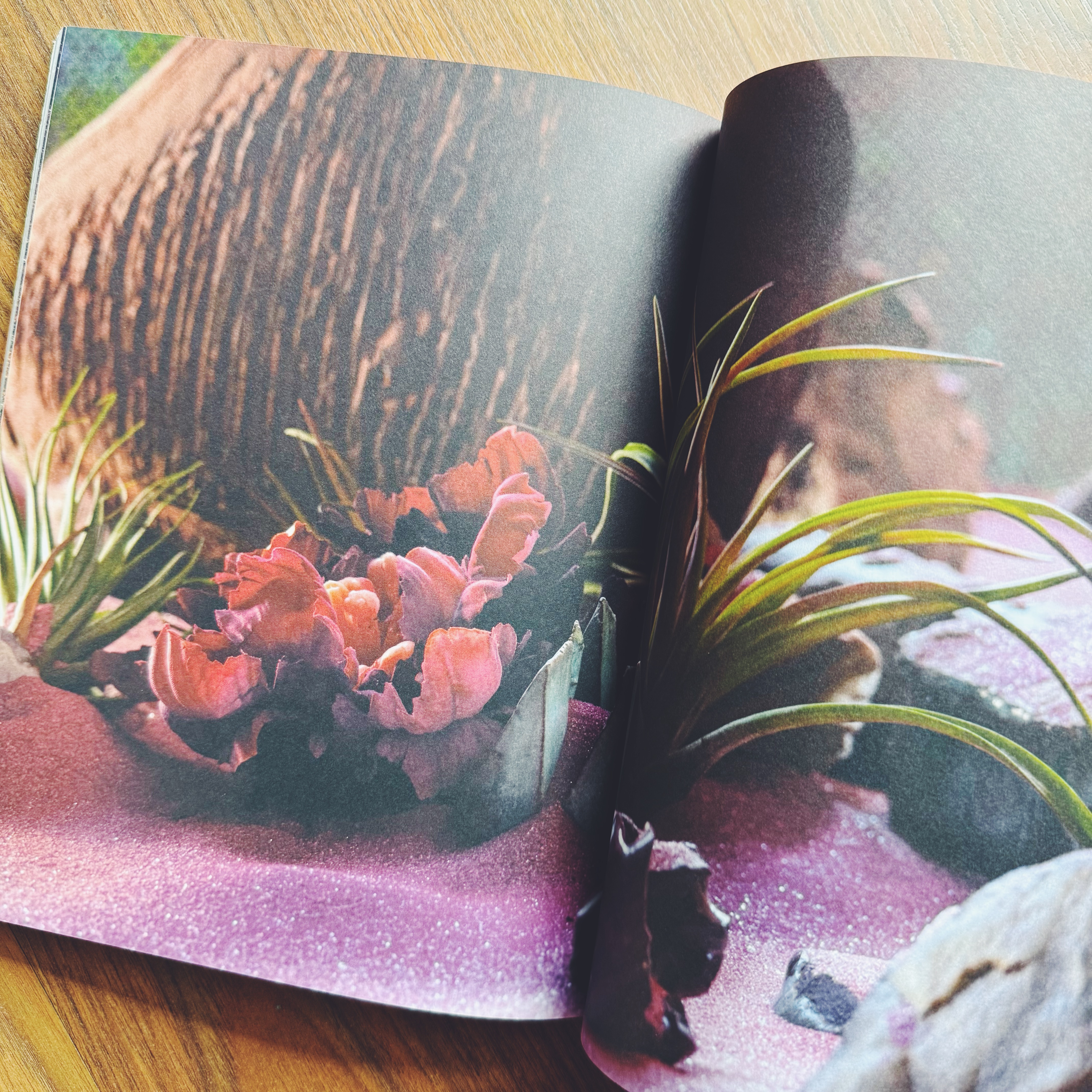 Gather Journal - Issue 05 Caravan 