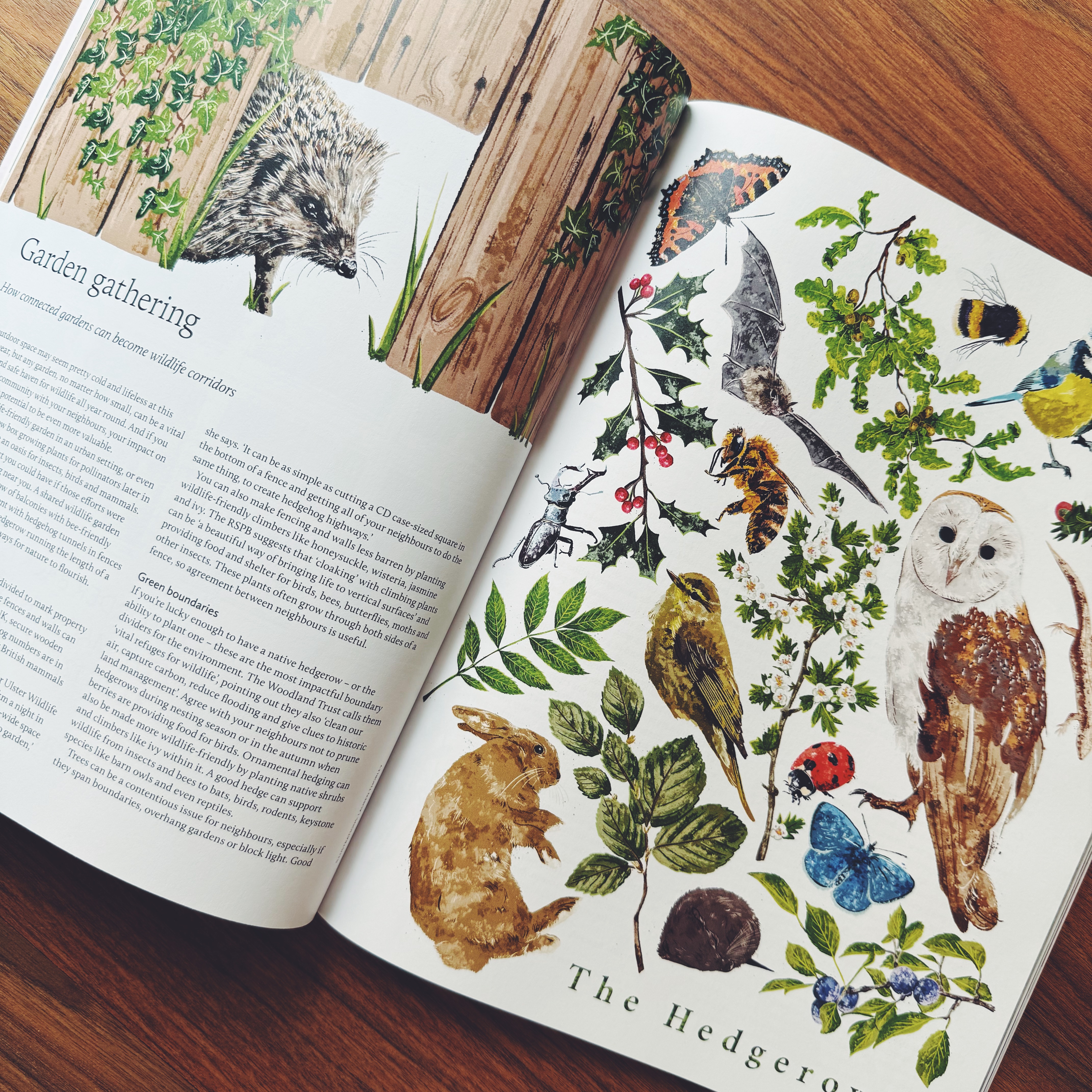 Breathe Magazine - Issue 79