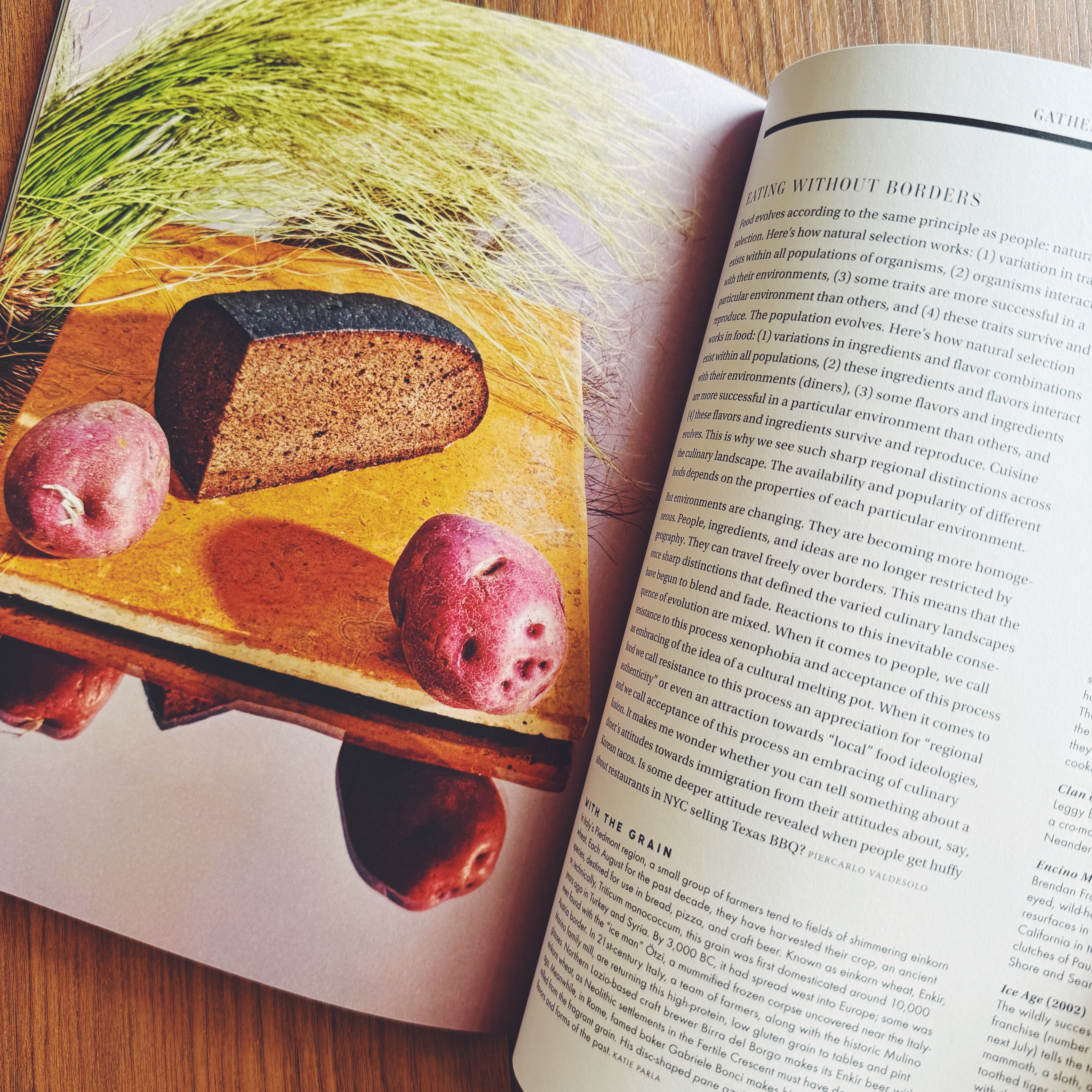 Gather Journal - Issue 08 Origin