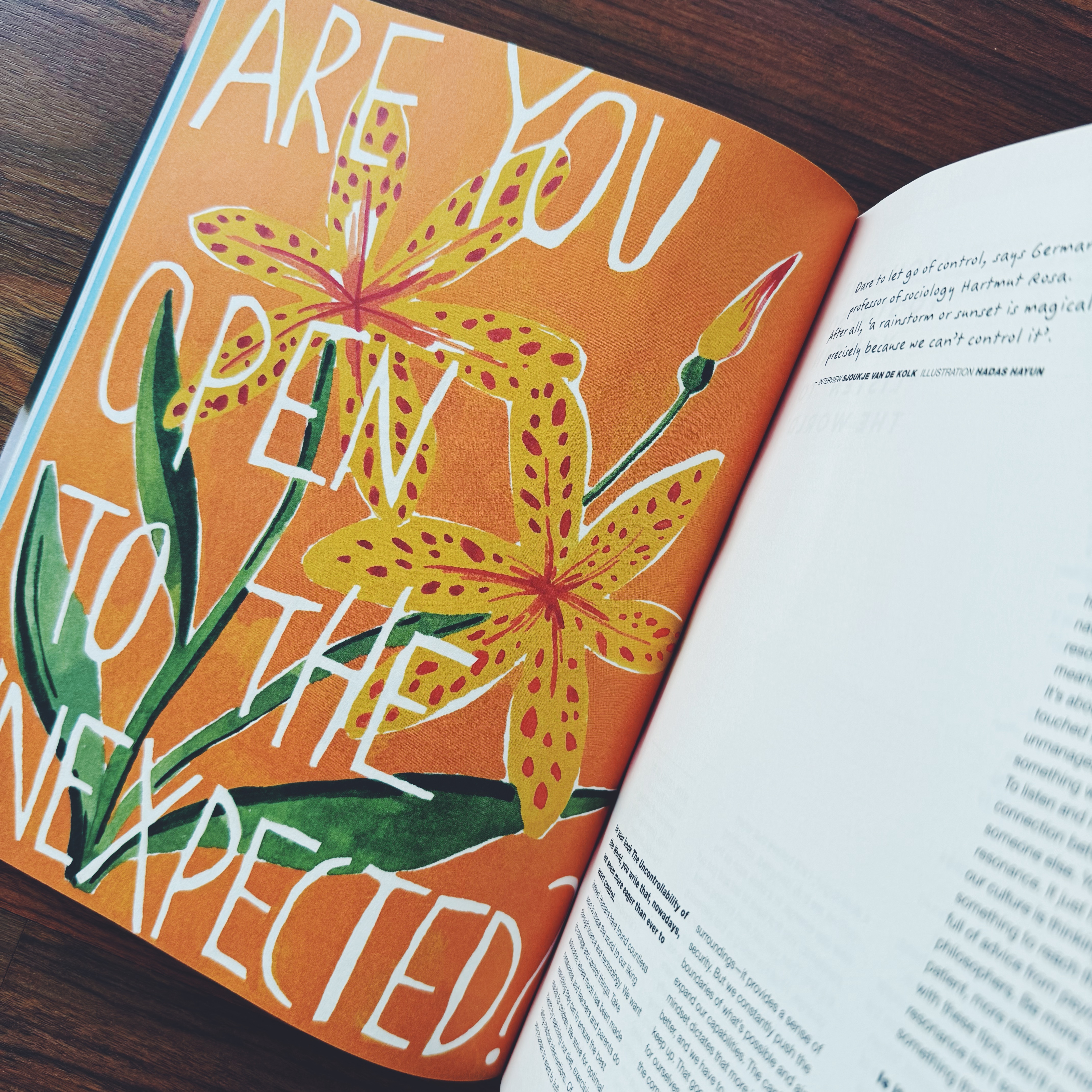 Flow Magazine - Issue 41