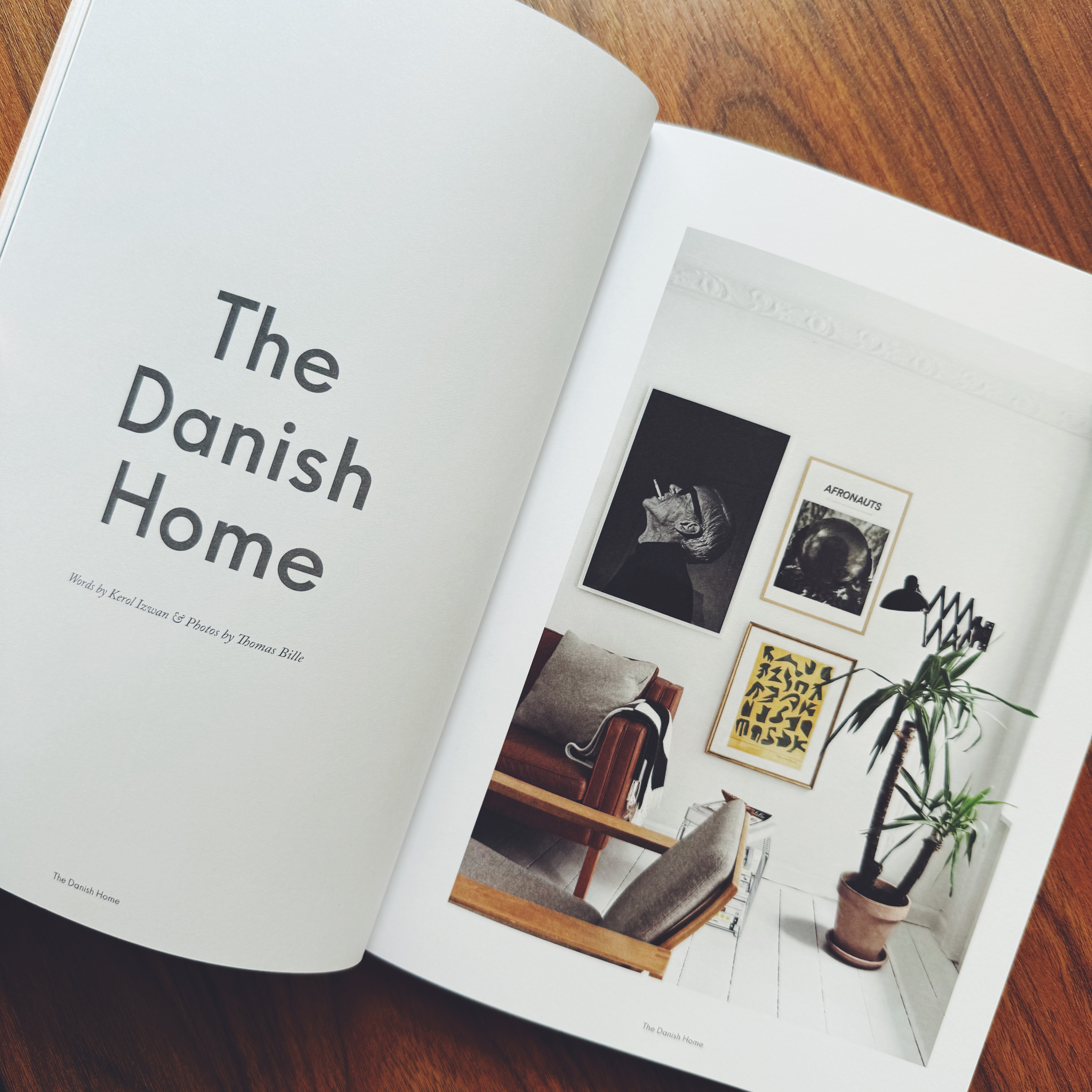 Musotrees Magazine : Vol.4 Home Issue