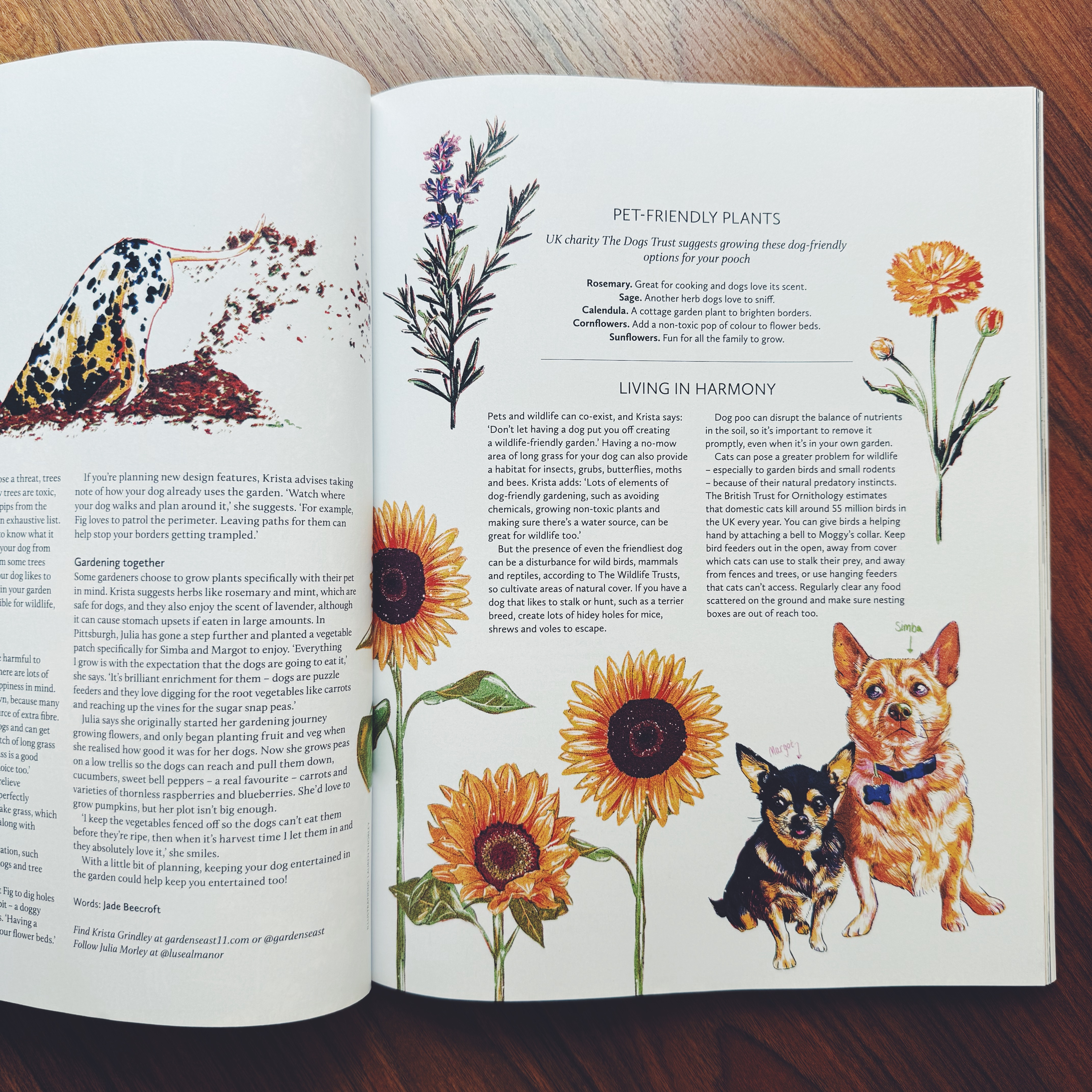 Breathe Magazine - Issue 81