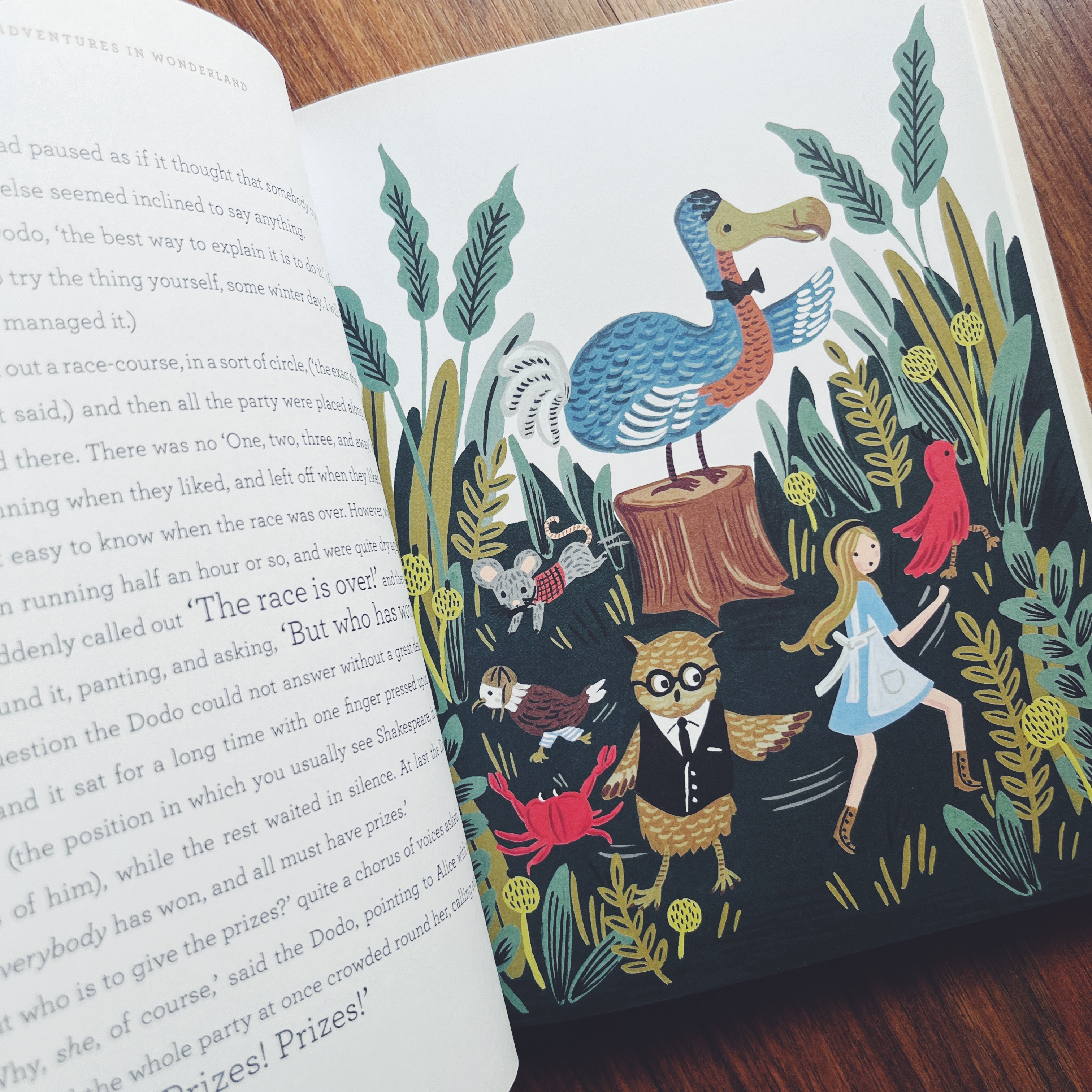 Alice's Adventures in Wonderland (Lewis Carroll)