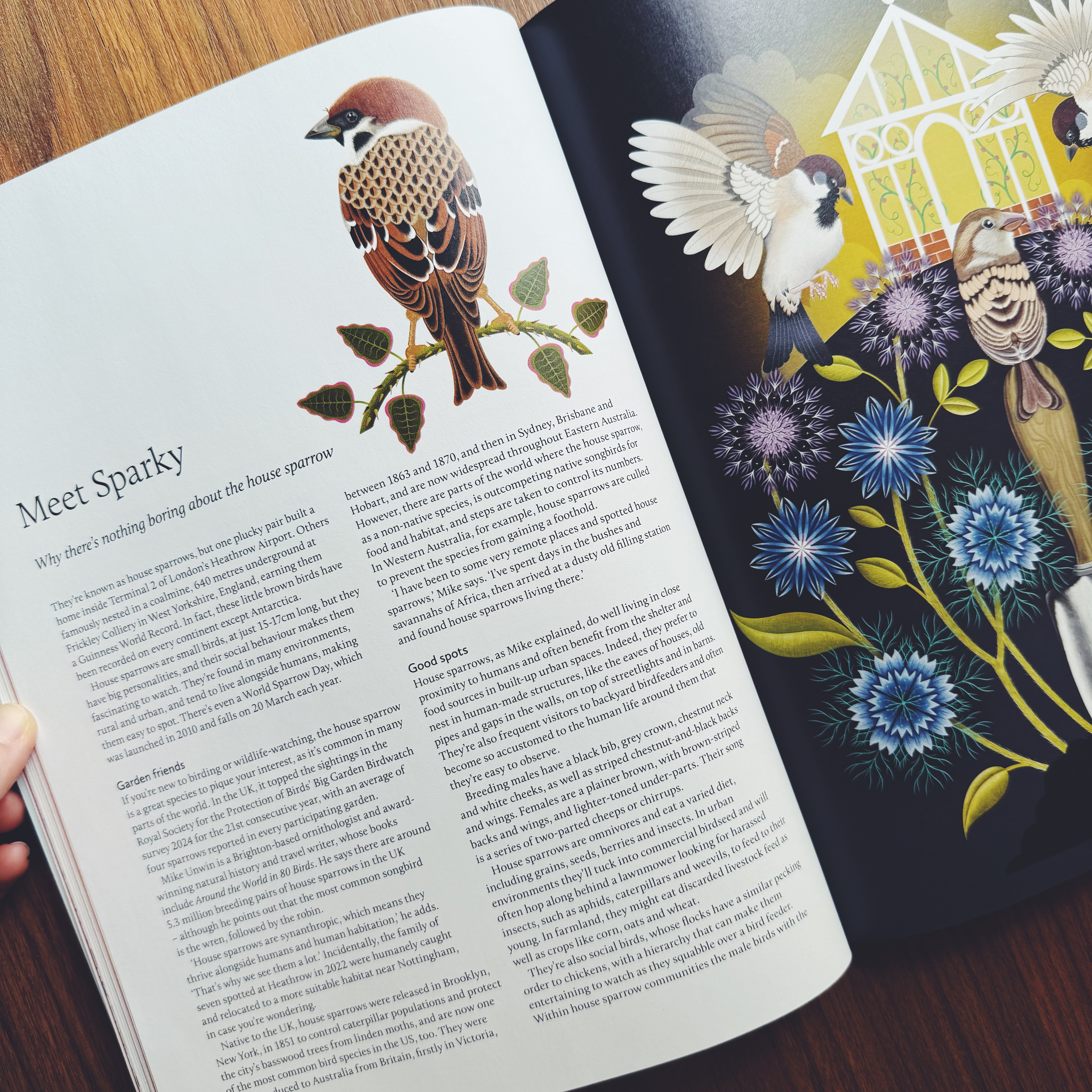 Breathe Magazine - Issue 70