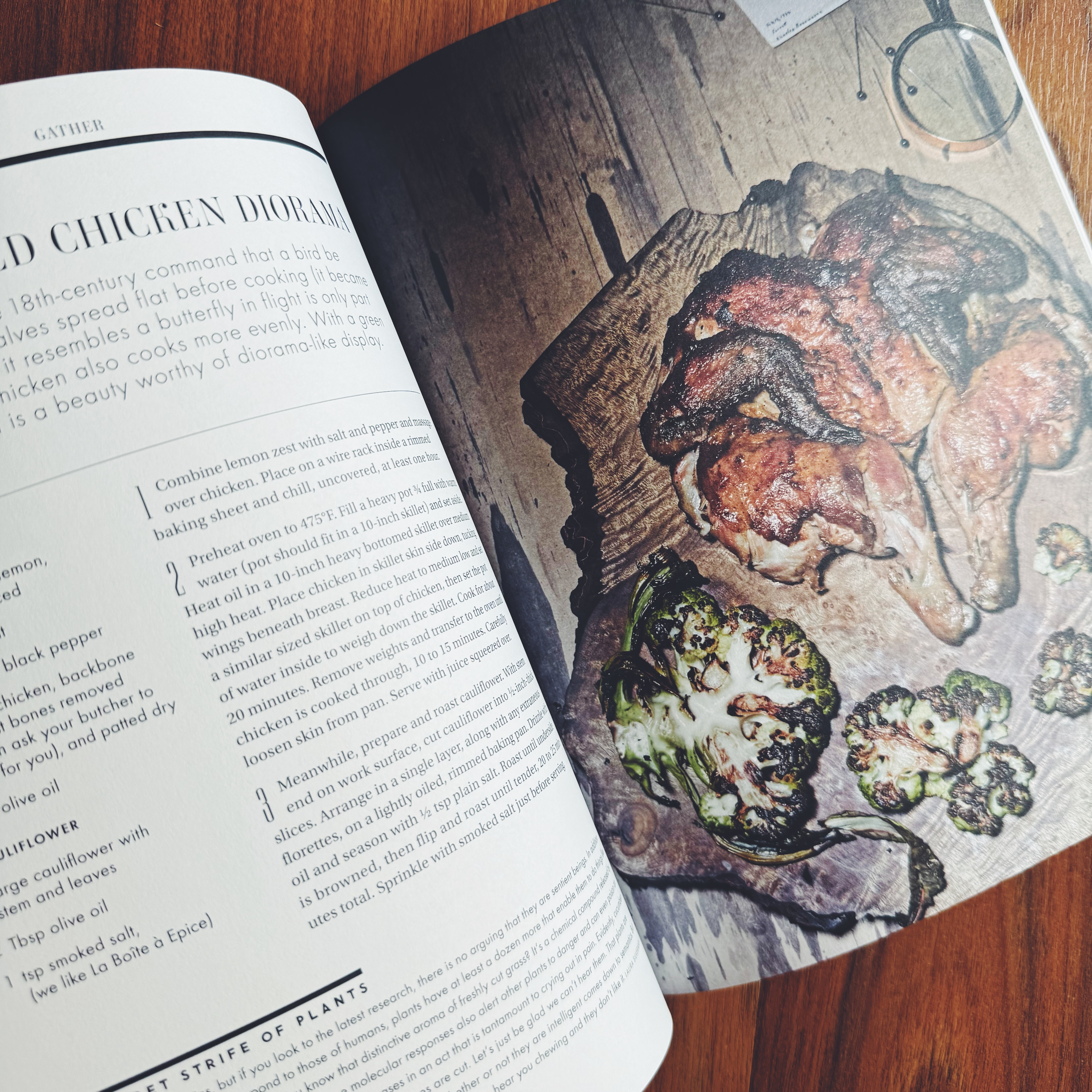 Gather Journal - Issue 08 Origin