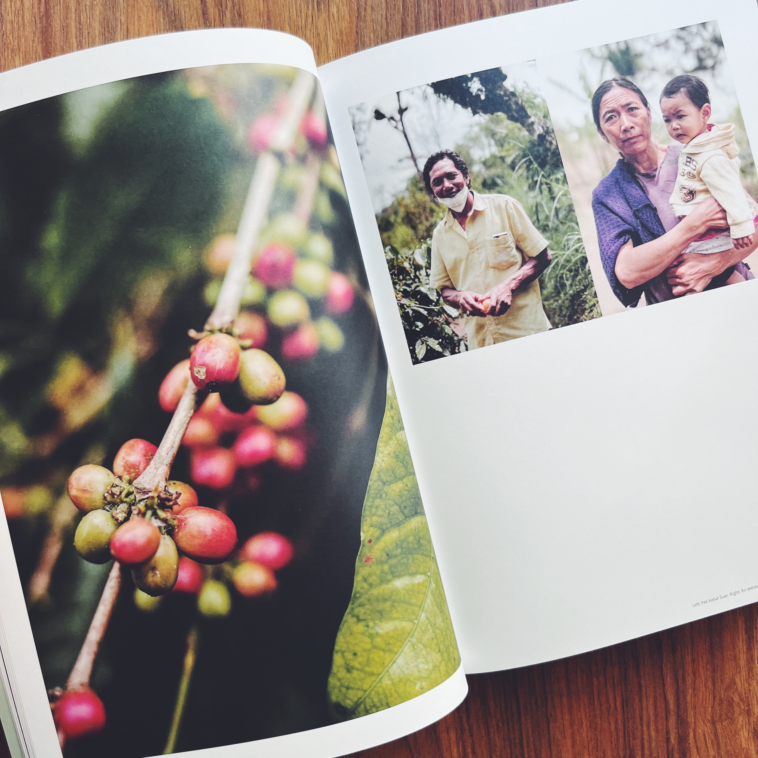 Drift - Volume. 9 Bali