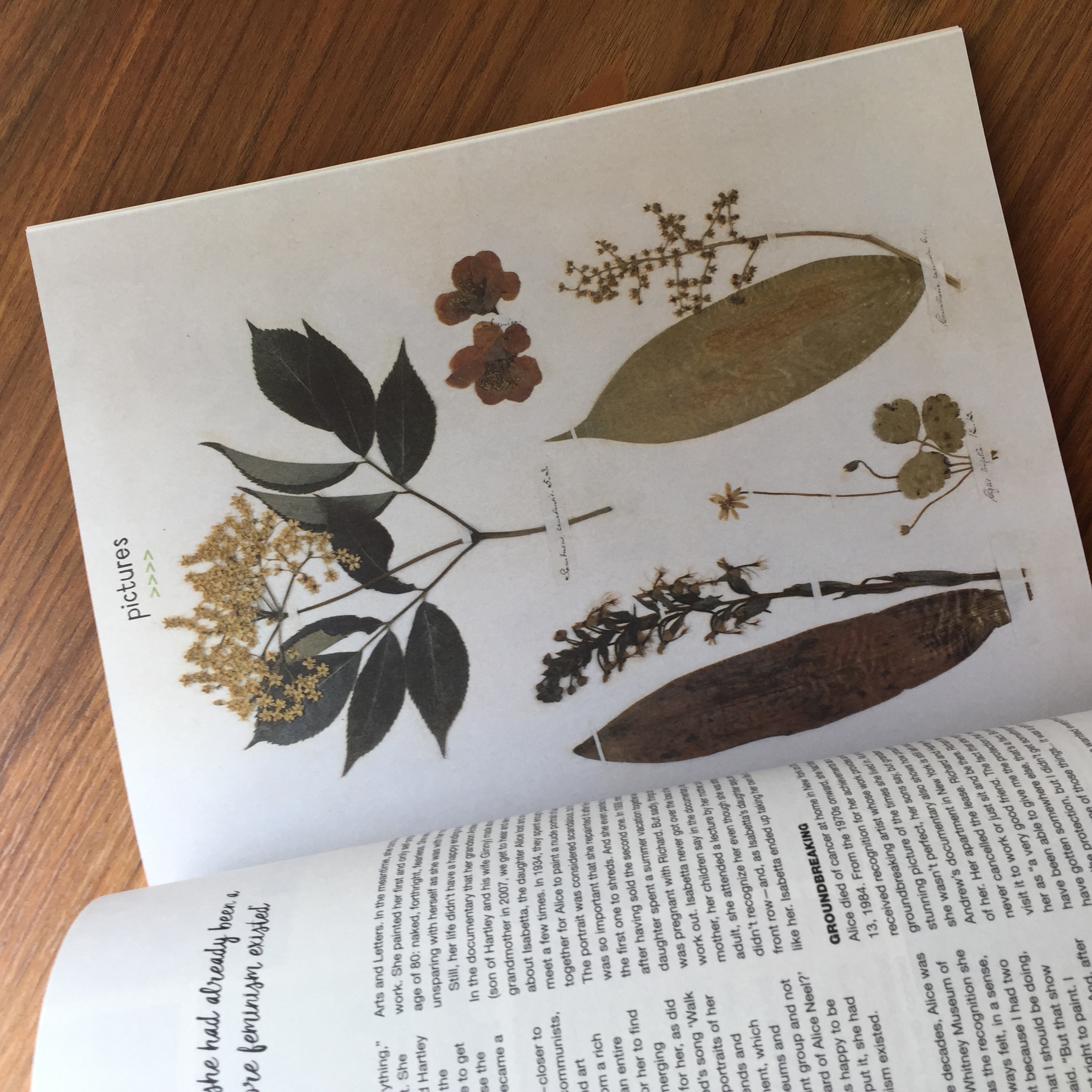 Flow Magazine - Issue 28