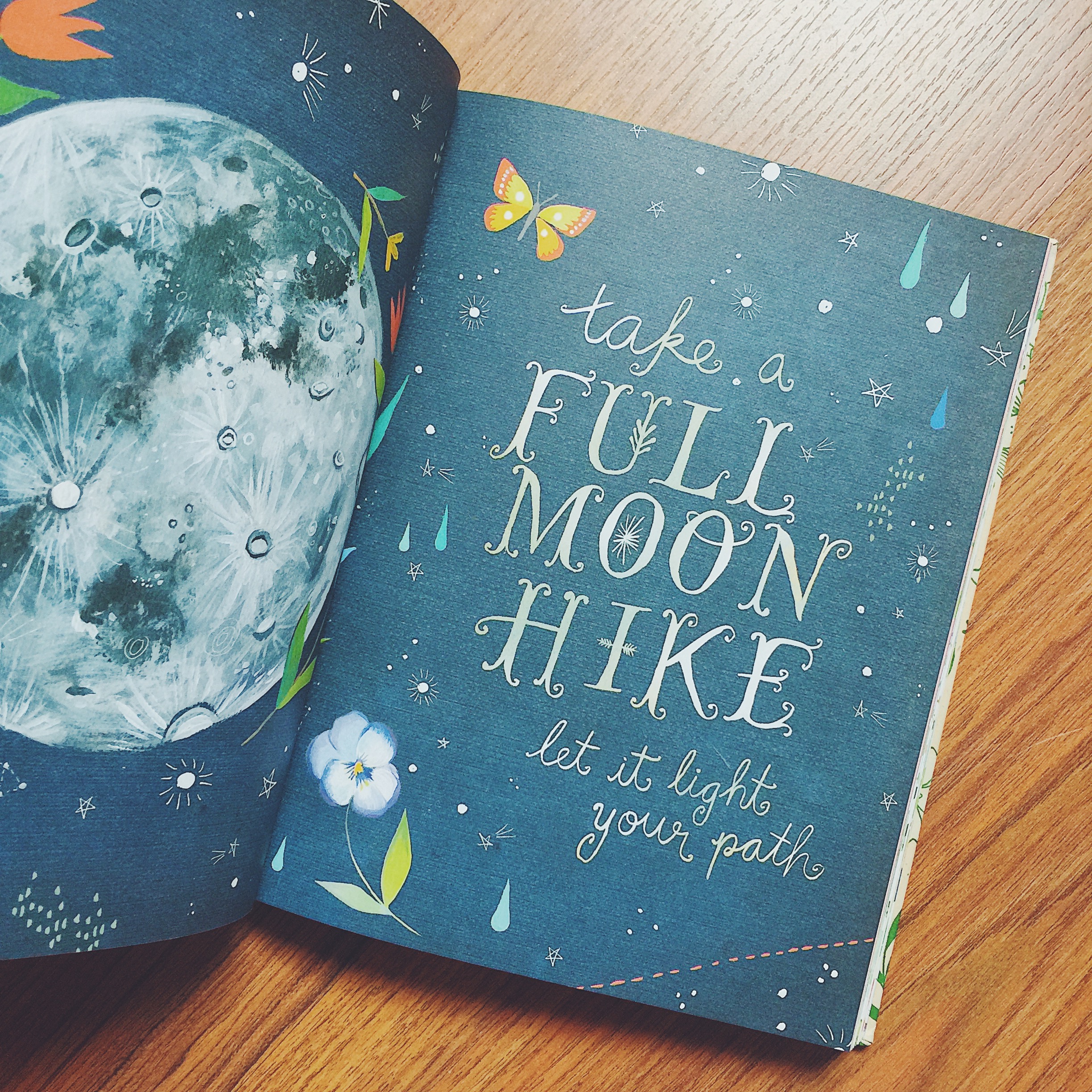 How to Be a Wildflower: A Field Guide