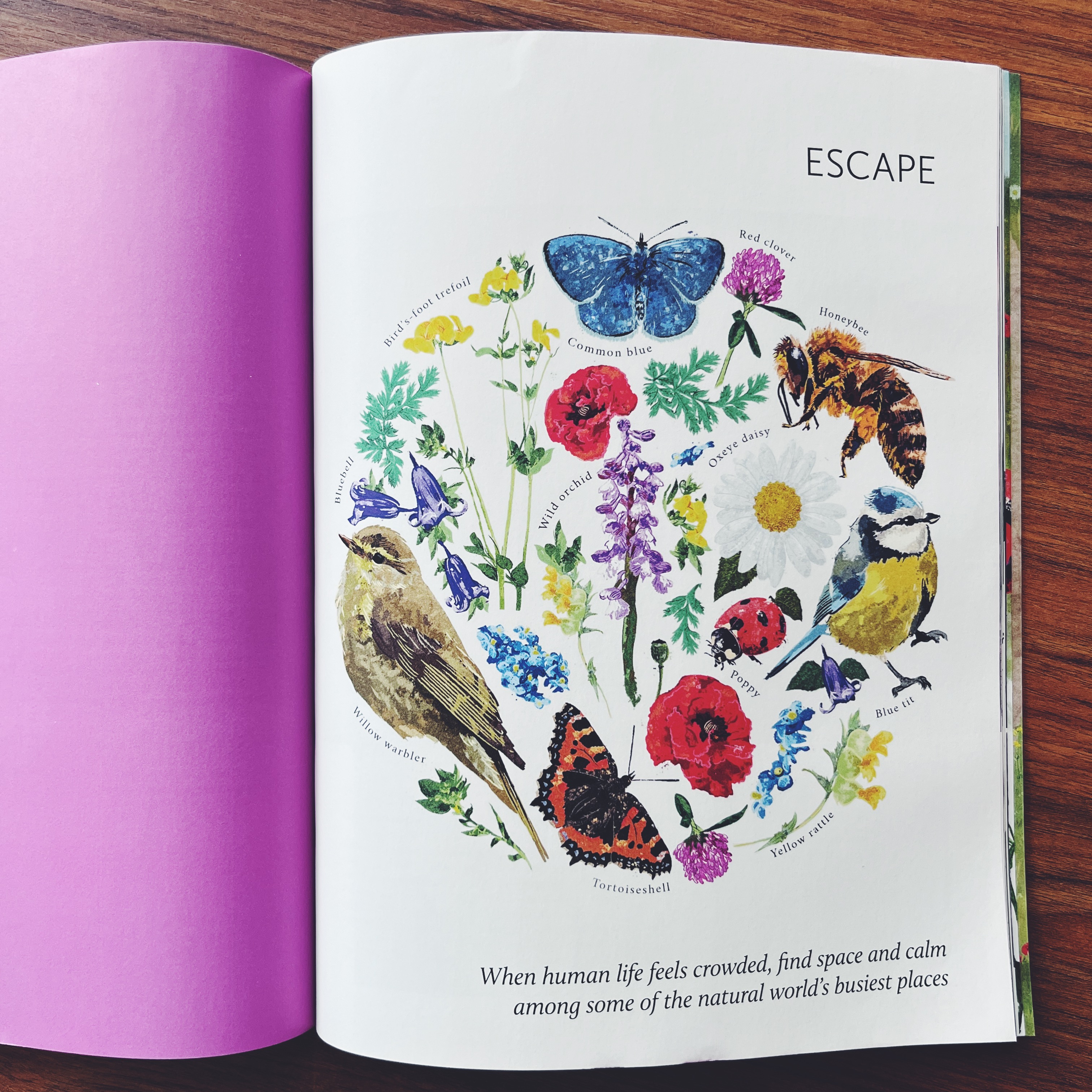 Breathe Magazine - Issue 63