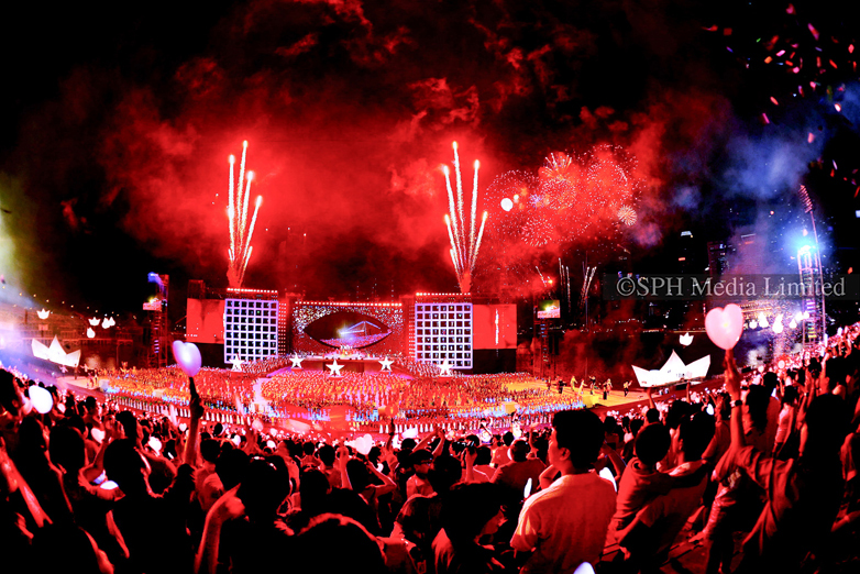 Fireworks at Marina Bay 2009 Mug