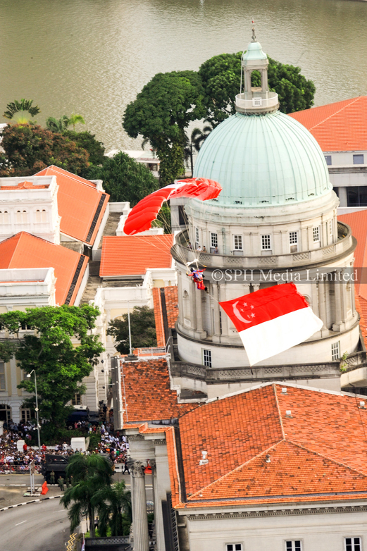 Red Lions Commandos Swooping Down 2010-My Sg Memories