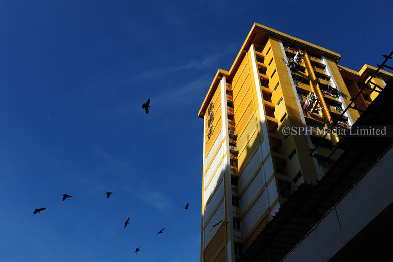 Rochor Centre 2011