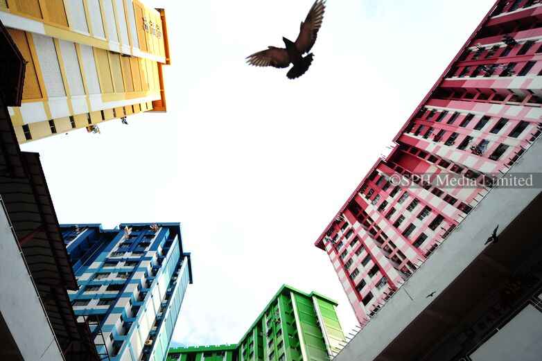 Podium-and-Tower Design of Rochor Flats 2011