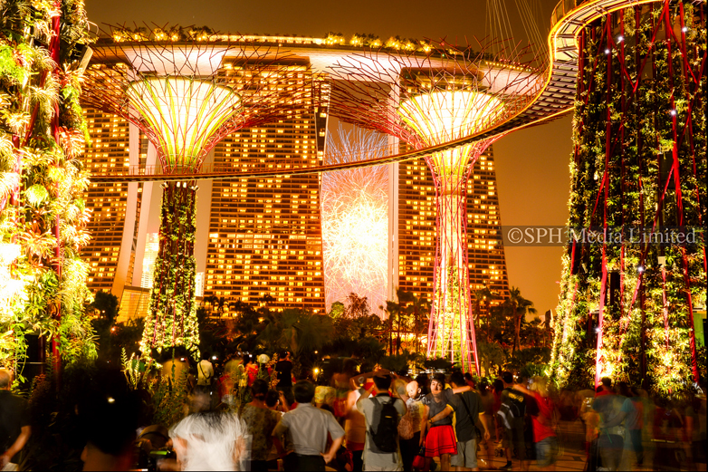 NDP Fireworks at Gardens by the Bay 2012-My Sg Memories