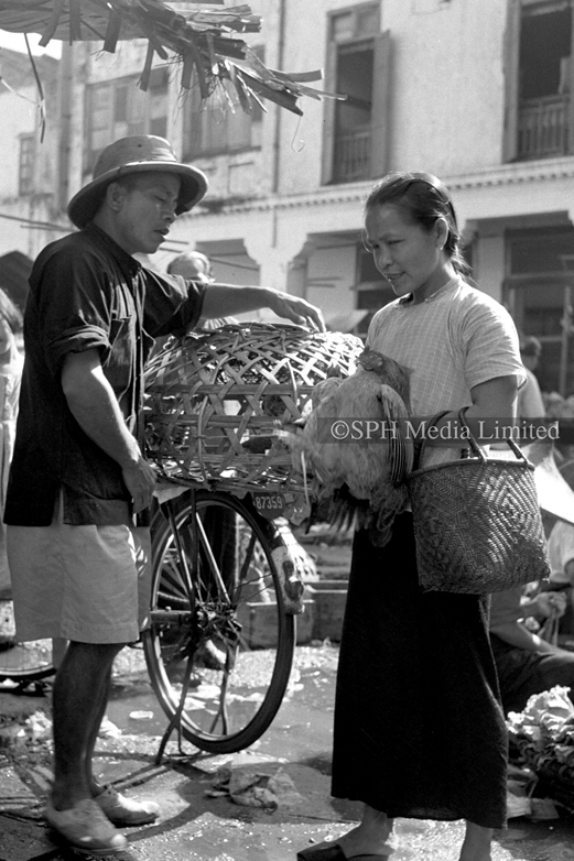 Buying Live Chicken for the New Year in Chinatown 1955-My Sg Memories