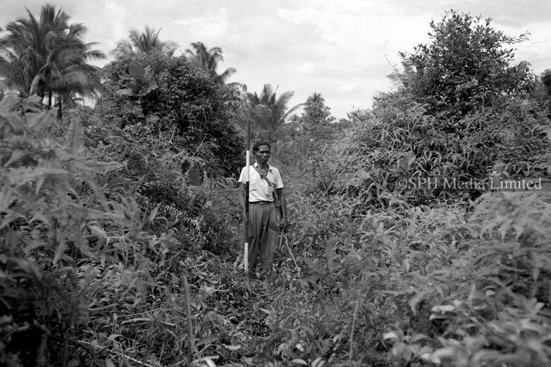 Paya Lebar Before Development 1951-My Sg Memories